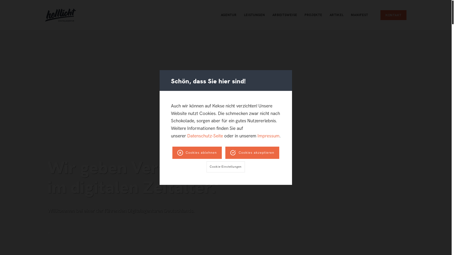 website screenshot of https://chkzvzky.com/