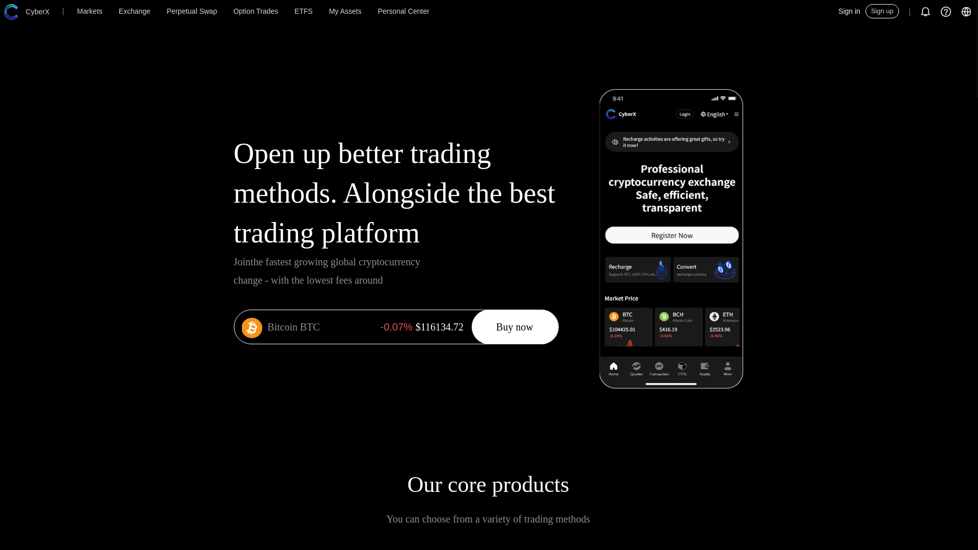 website screenshot of https://cyberxw.com/