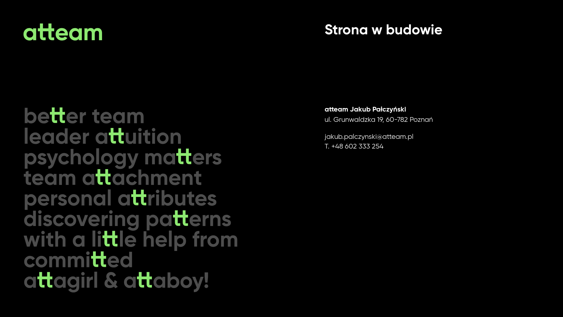 website screenshot of https://atteam.com.pl/