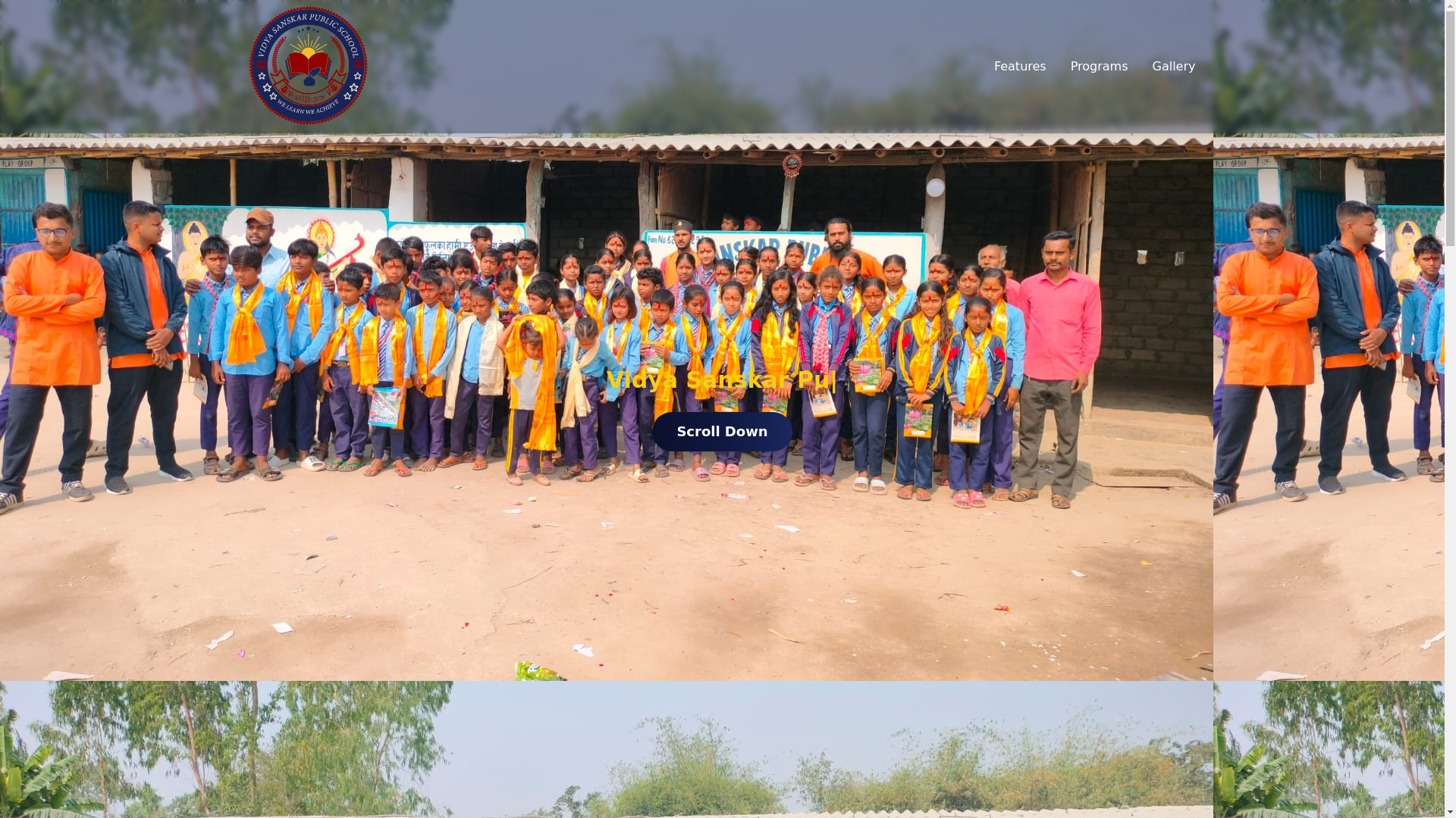 website screenshot of https://vidyasanskarpublicschool.edu.np/