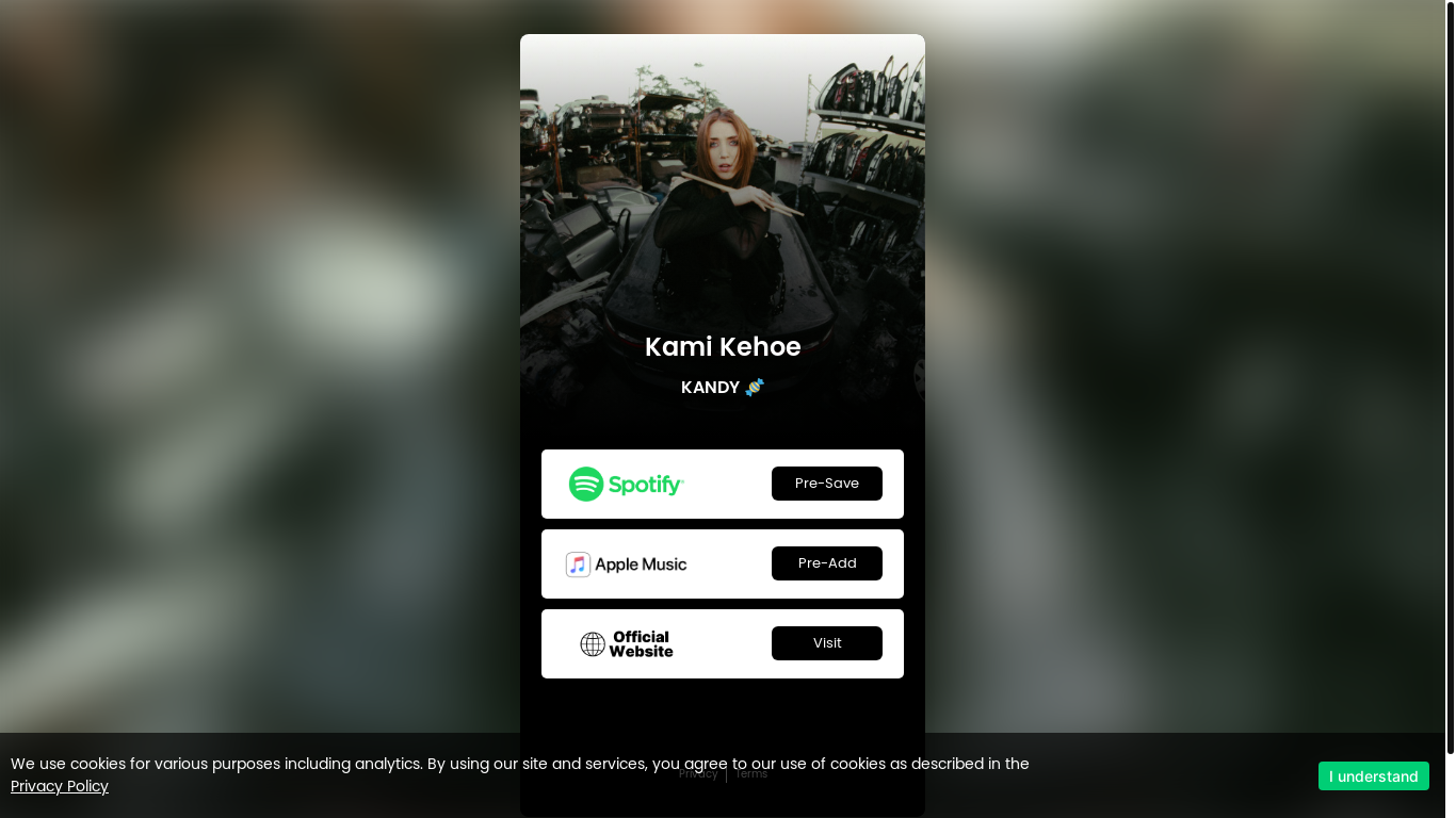 website screenshot of https://nfan.link/kami-kehoe