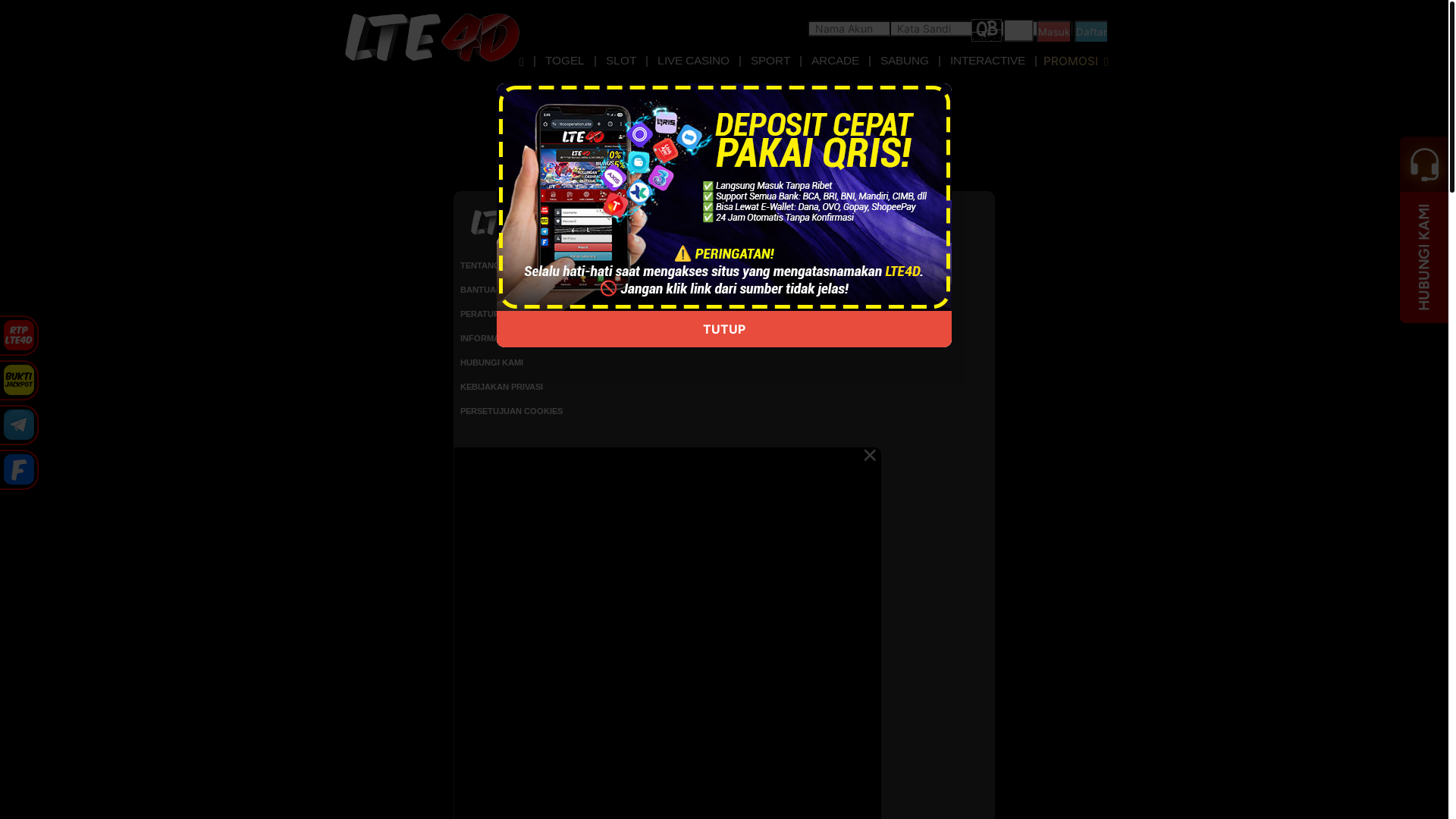 website screenshot of https://cleverguide.site/