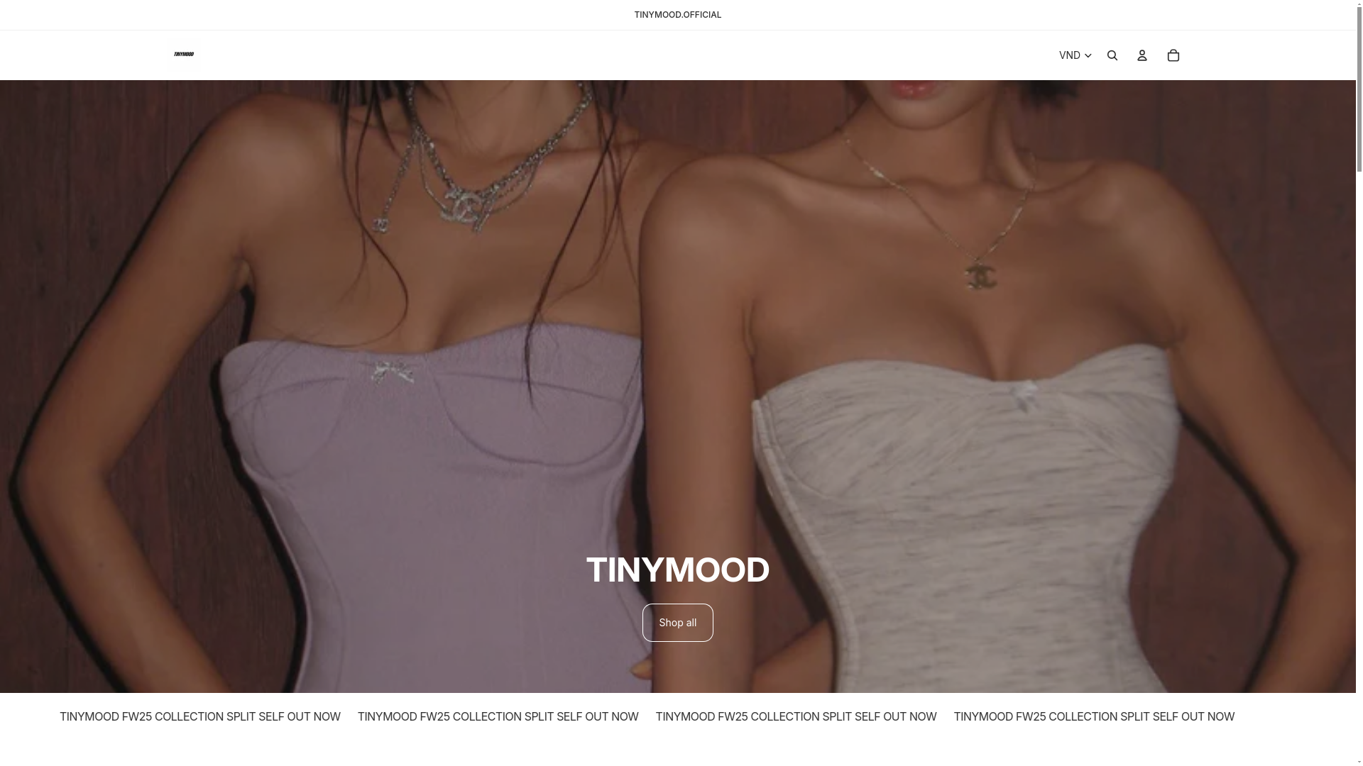 website screenshot of https://tinymoodstore.com/