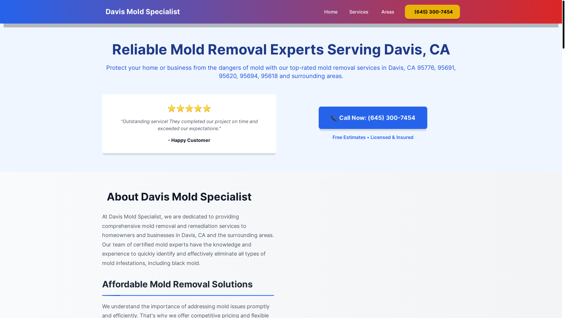 website screenshot of https://mold-inspection-davis-ca.pages.dev/