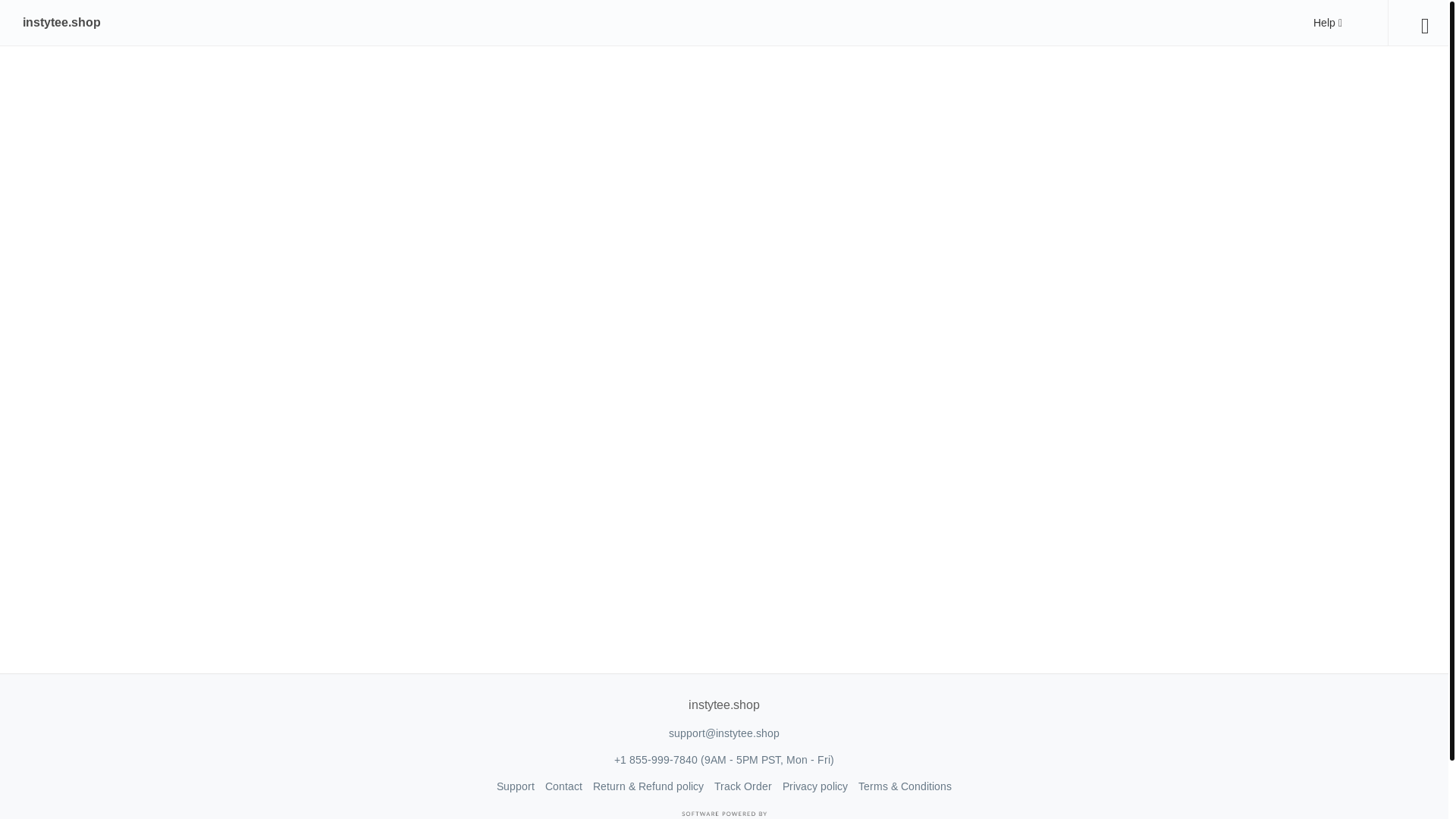 website screenshot of https://instytee.shop/