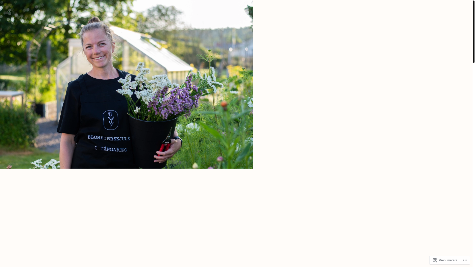 website screenshot of https://blomsterskjulettangaberg.com/
