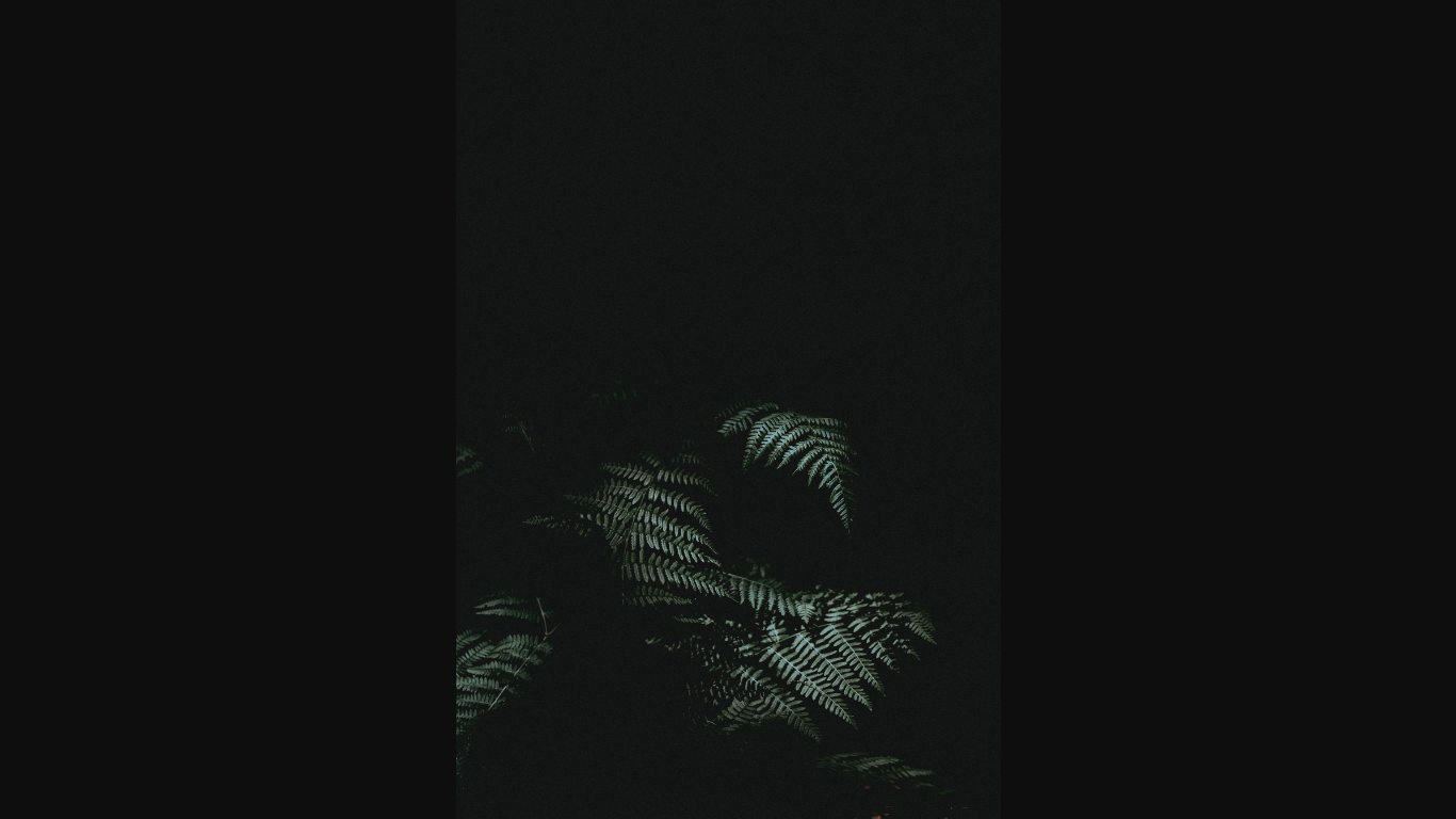 website screenshot of https://wallpapercave.com/wp/wp4506949.jpg