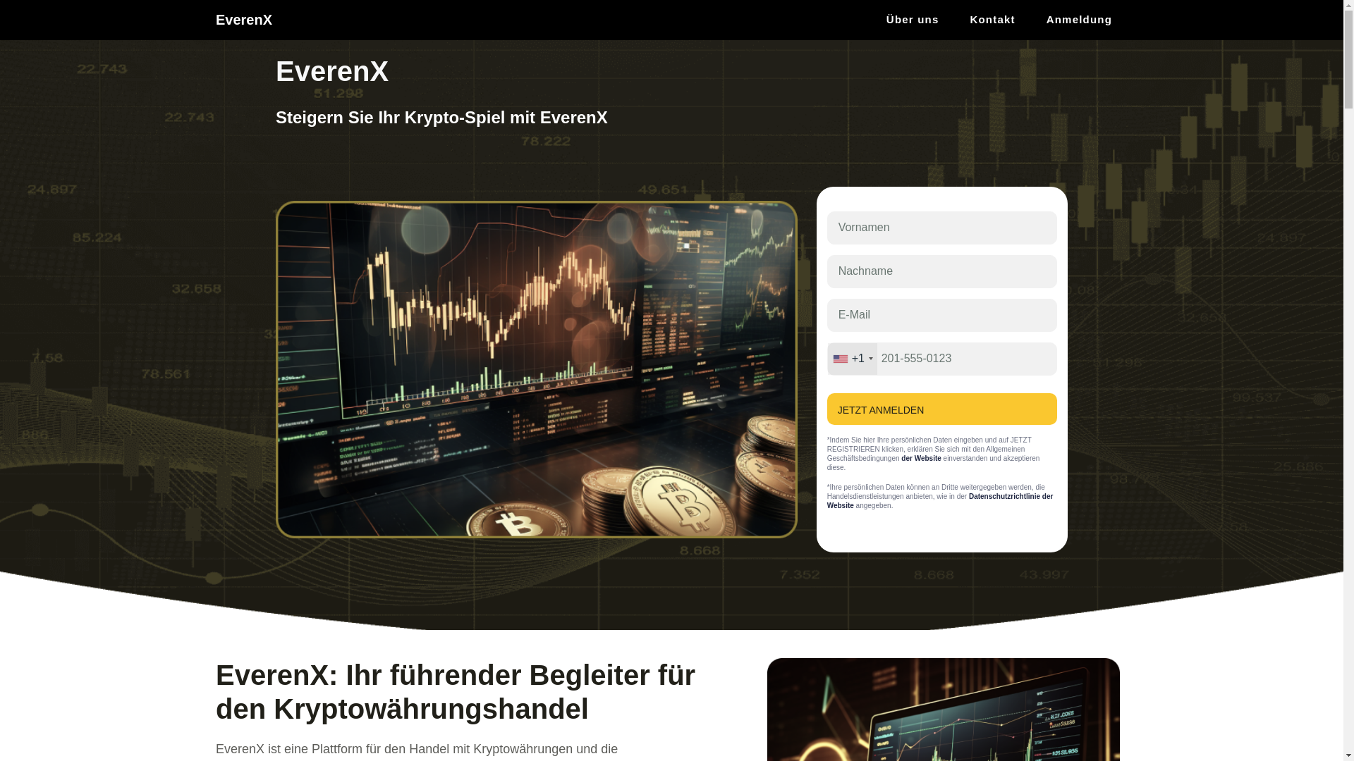 website screenshot of https://everenx-de.com/