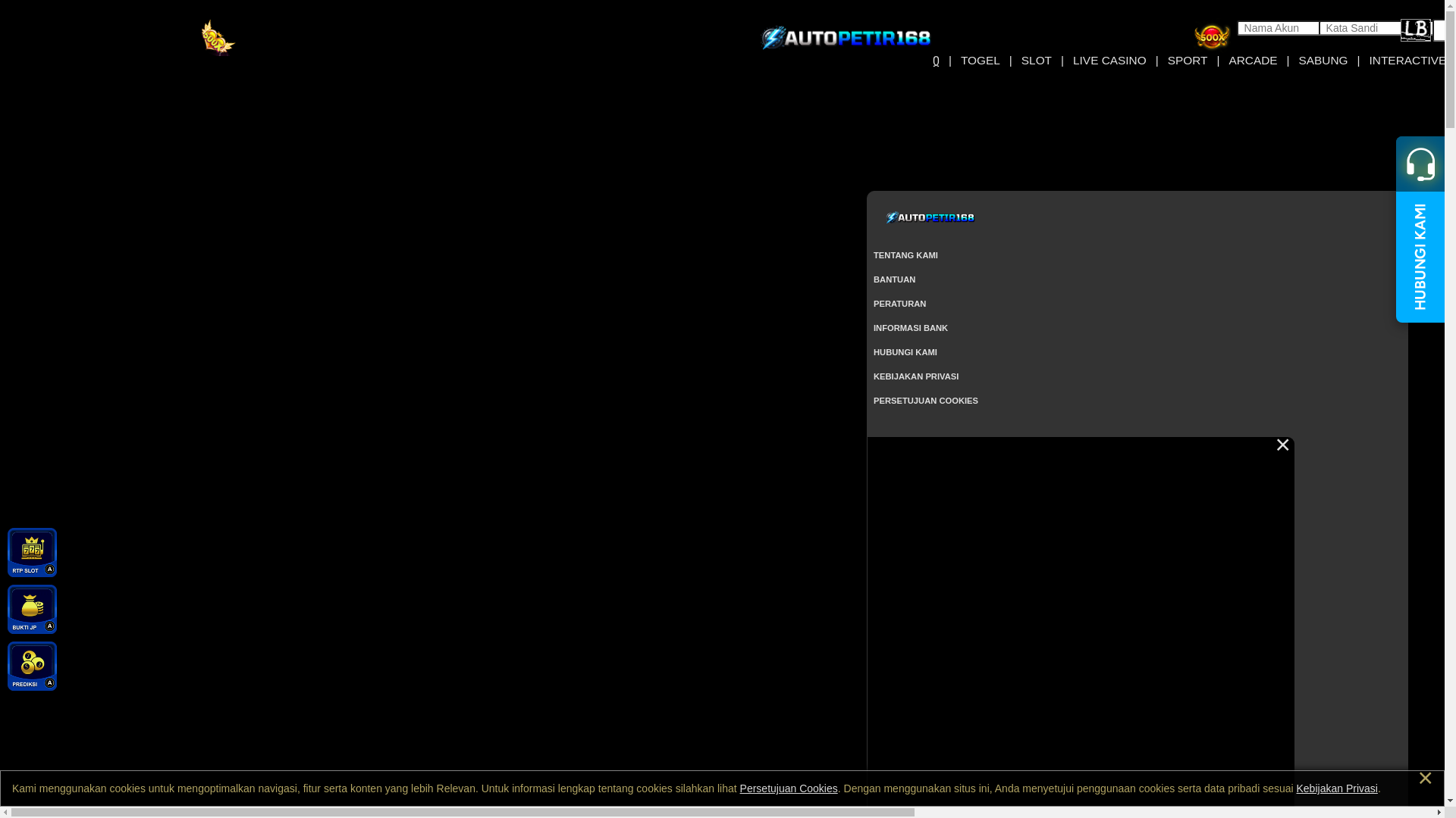 website screenshot of https://autopetir168cok.site/