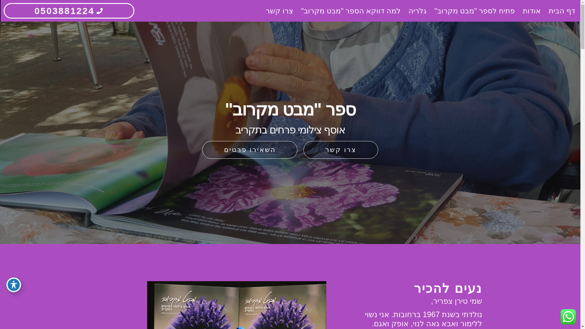 website screenshot of https://tirantsafrir.co.il/