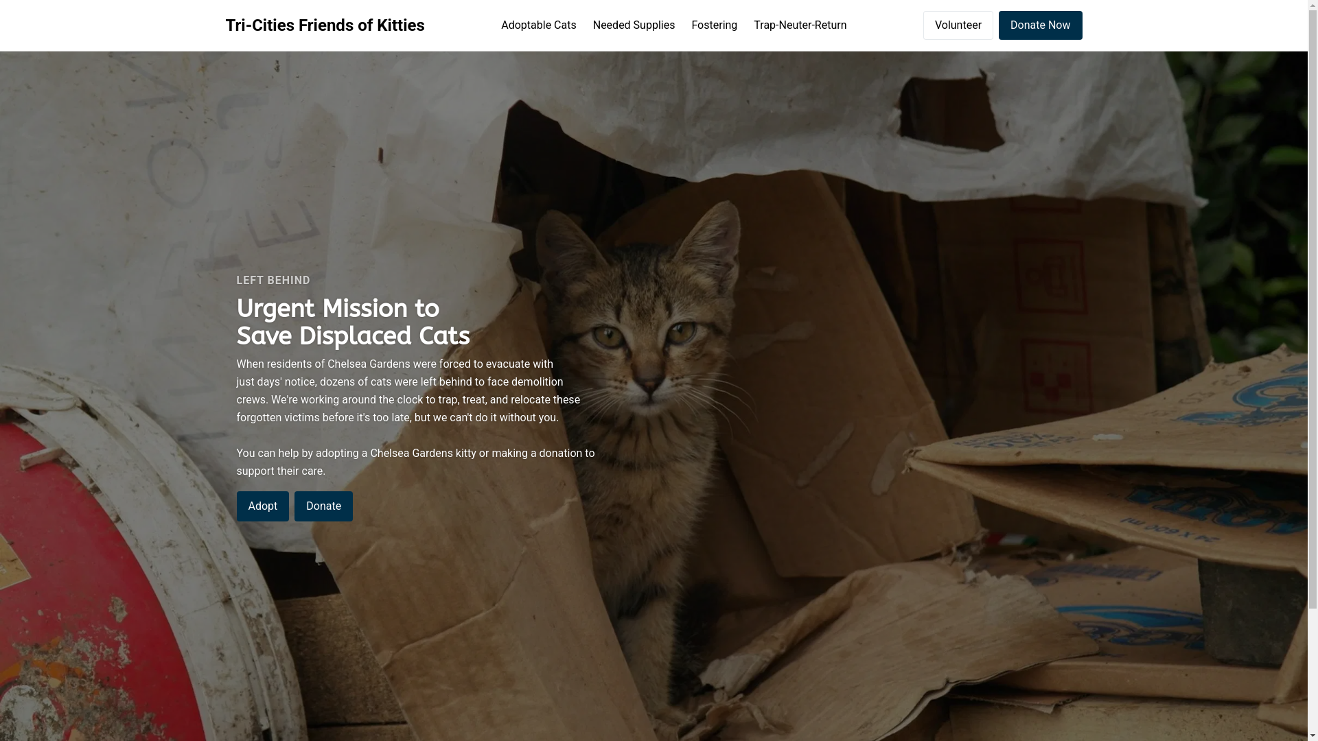 website screenshot of https://tcfokadoptions.org/