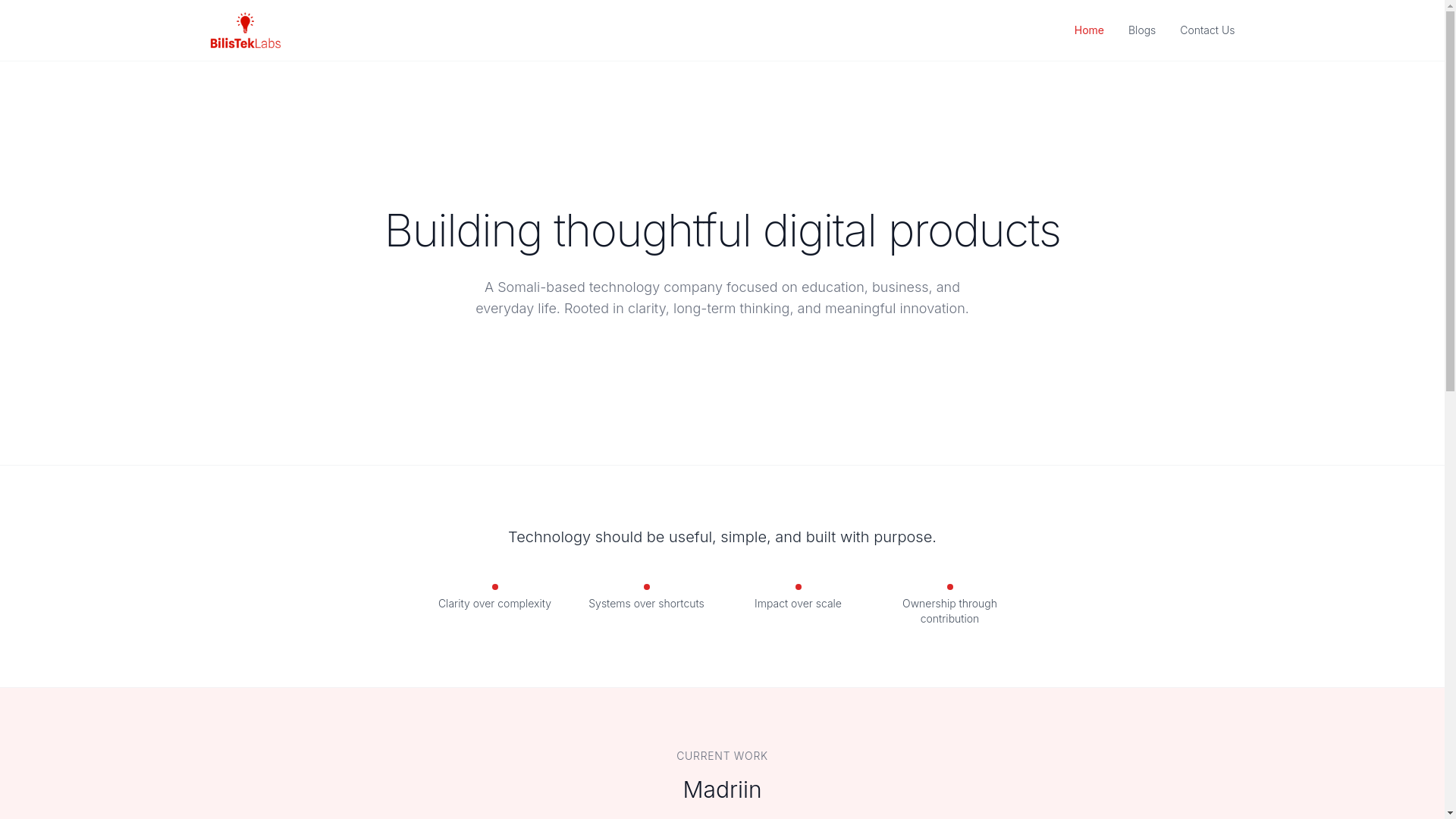website screenshot of https://bilistek.com/