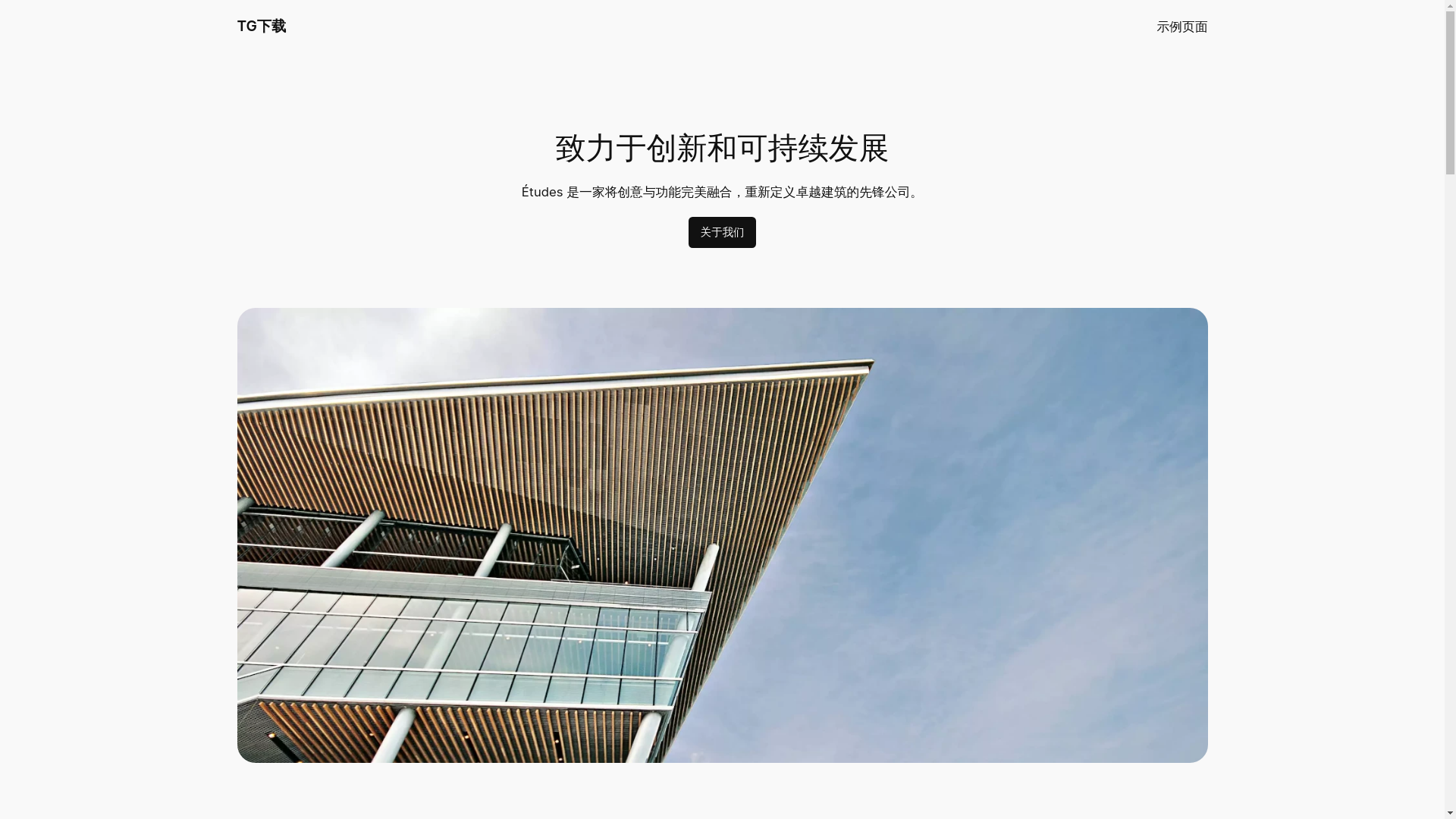 website screenshot of https://telegramcha.com.cn/