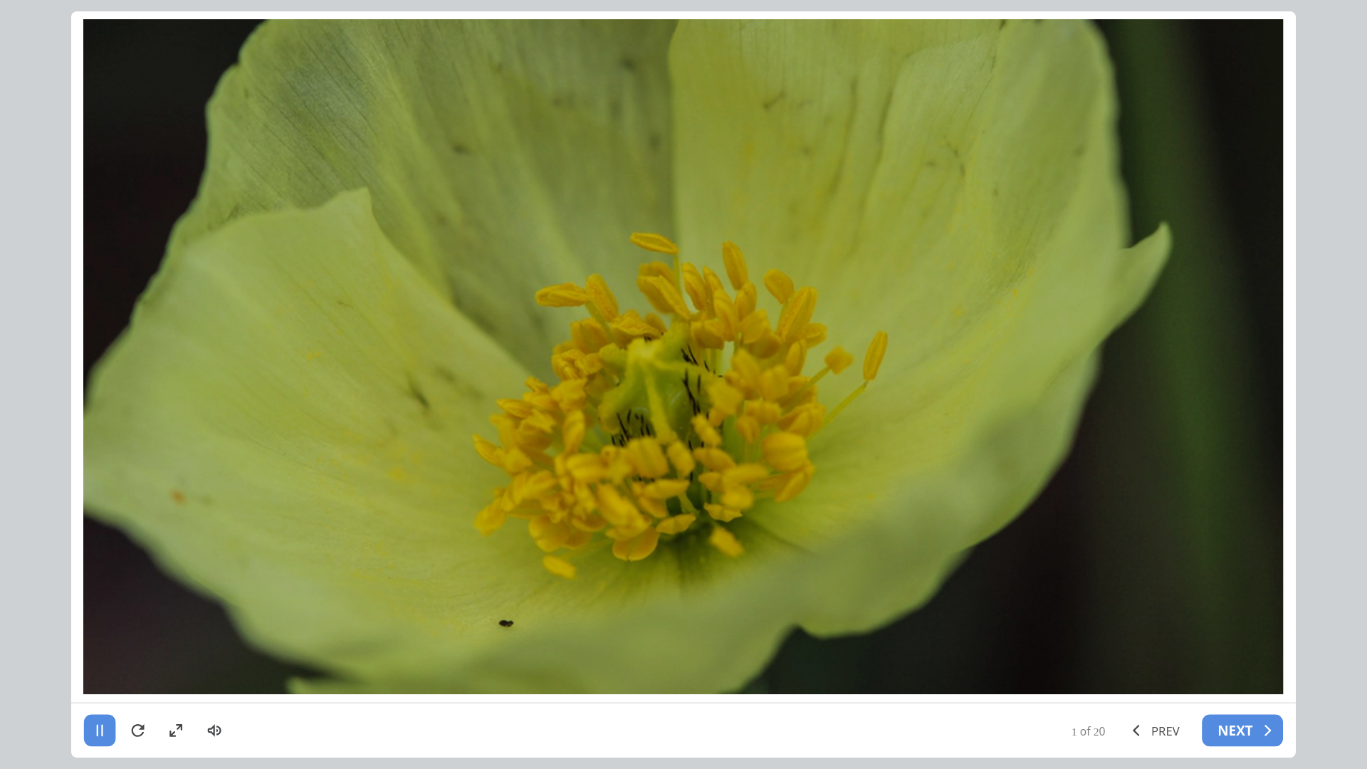 website screenshot of https://cb3dcee4-87ea-43e8-a2fc-b9314e270dc9-qa.pages.dev/