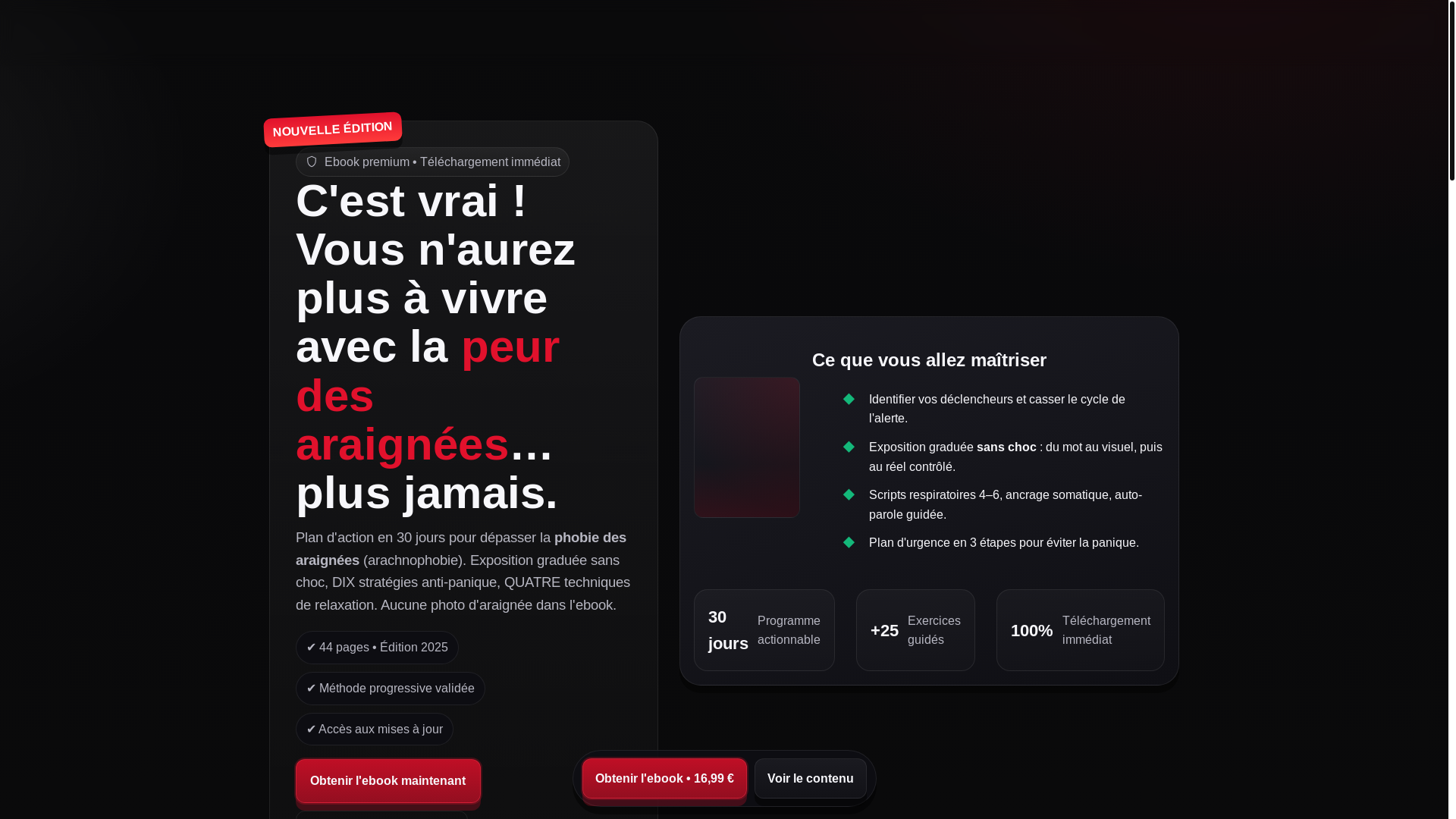 website screenshot of https://peurdesaraignees.com/