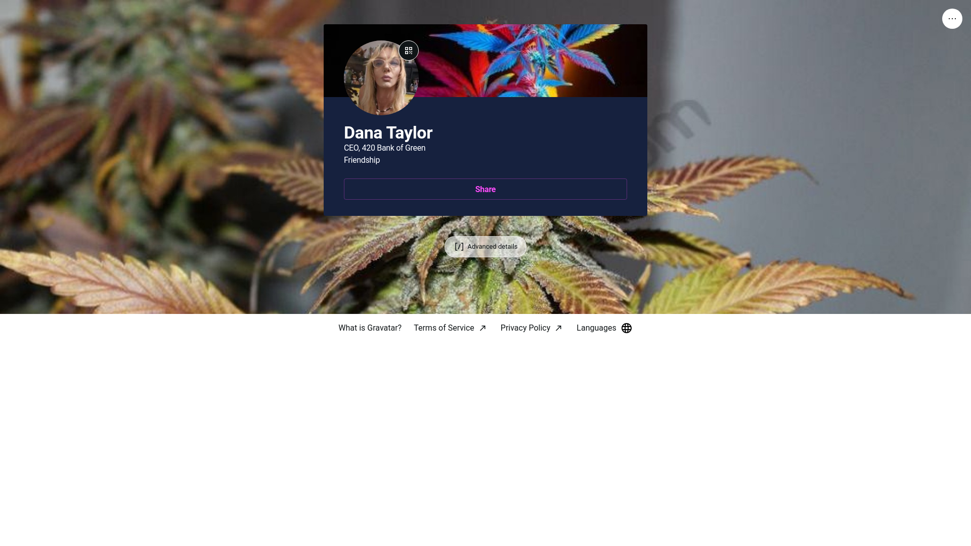 website screenshot of https://danataylor.pro/