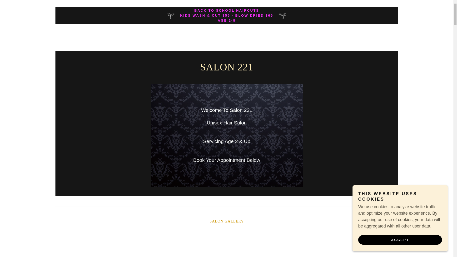 website screenshot of https://salon221.info/