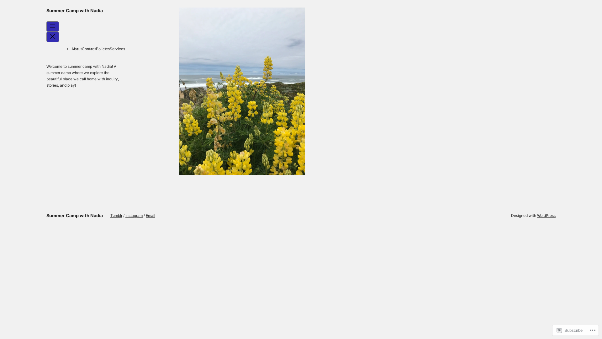 website screenshot of https://nahueldoulacare.com/