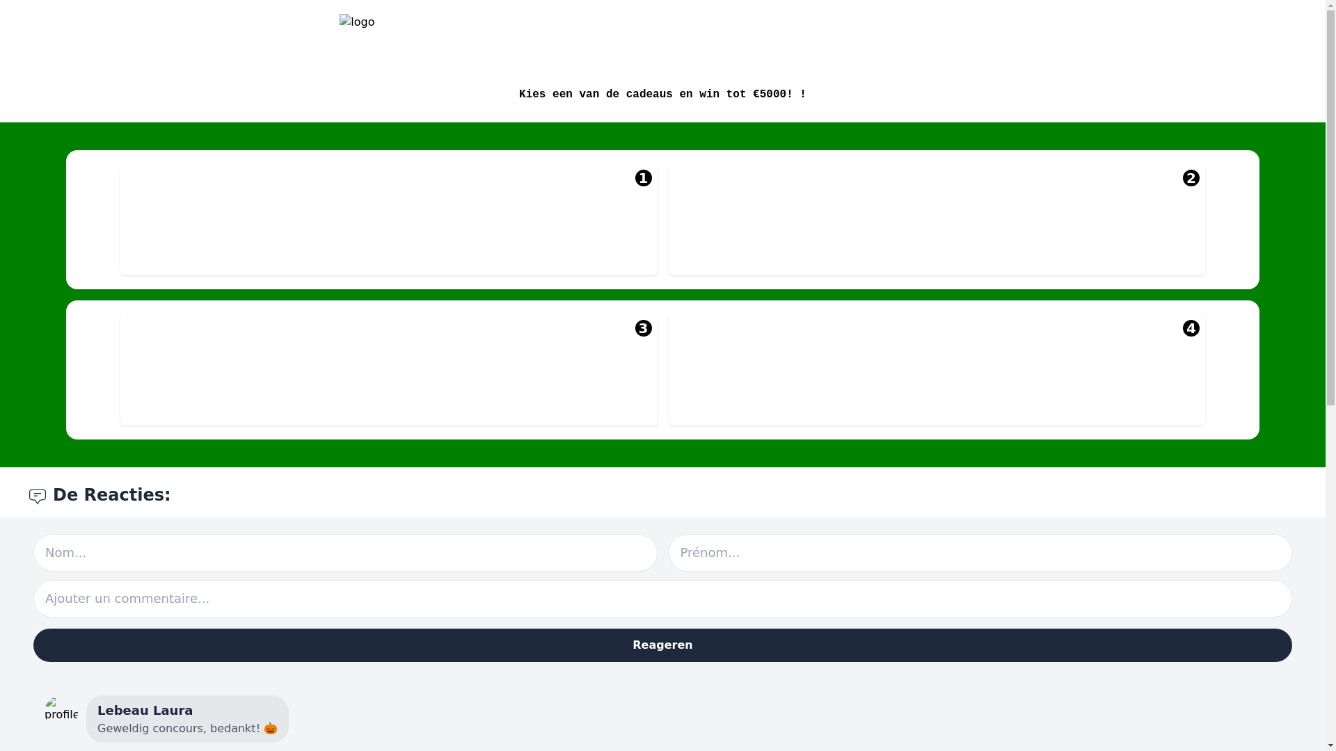 website screenshot of https://argentawin.nl/