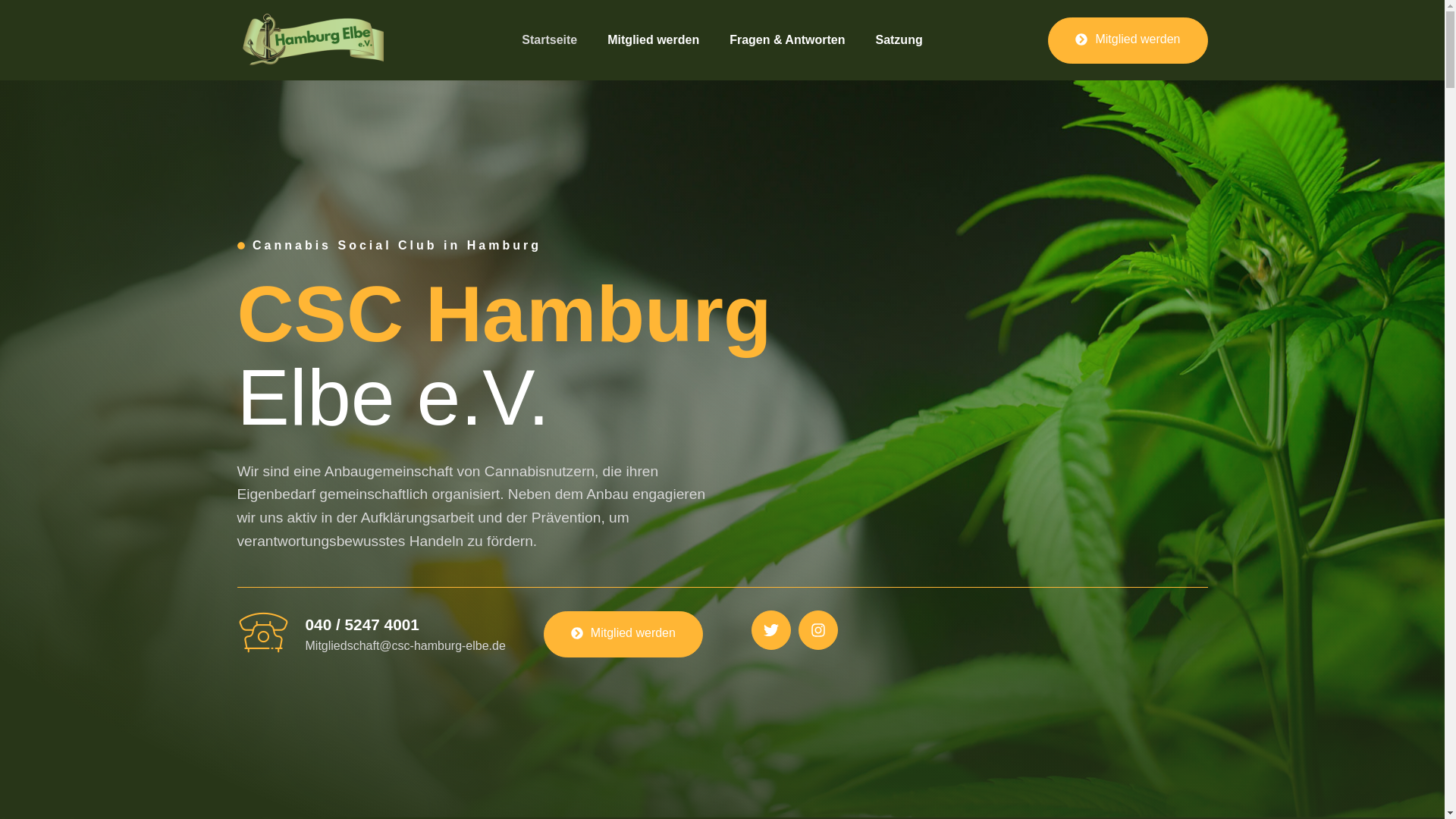 website screenshot of https://mieter-hilfe.org/