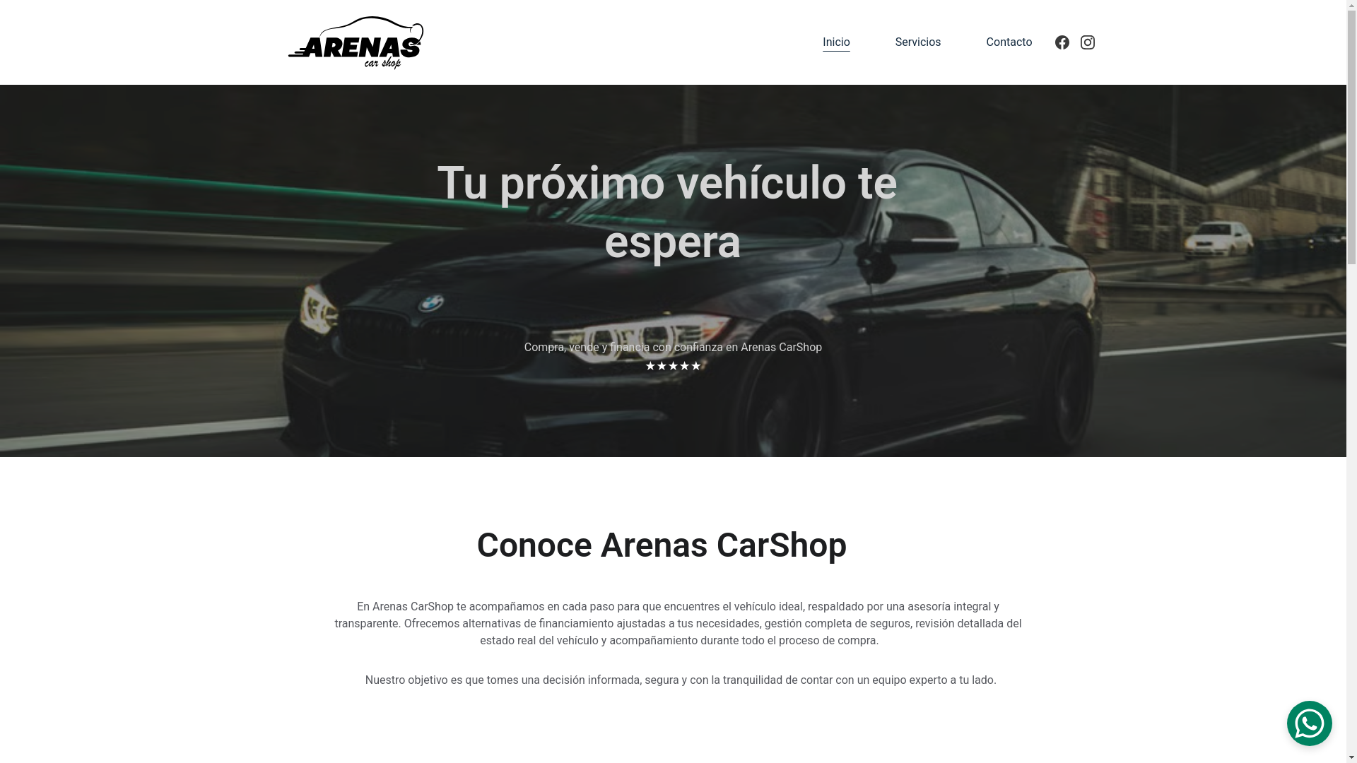 website screenshot of https://arenascarshop.com/