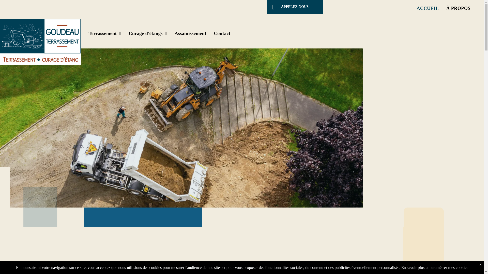 website screenshot of https://goudeau-terrassement.fr/