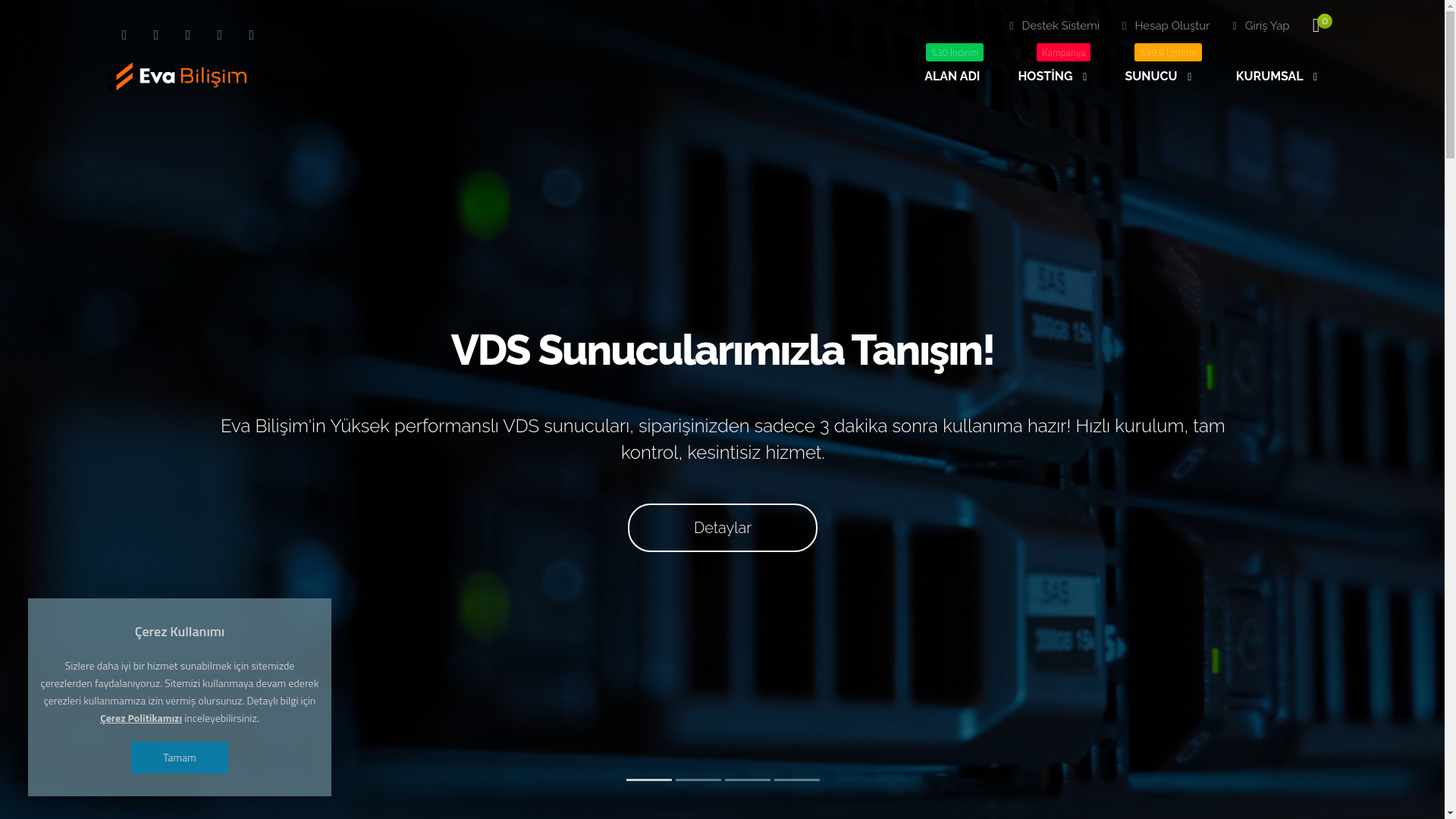website screenshot of https://evabilisim.com