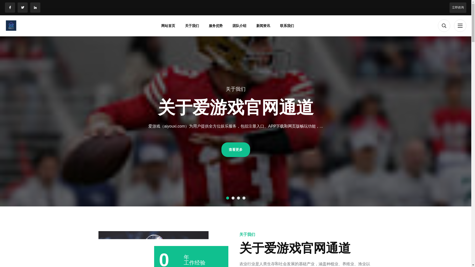 website screenshot of https://zhm-ayxgaming.com/