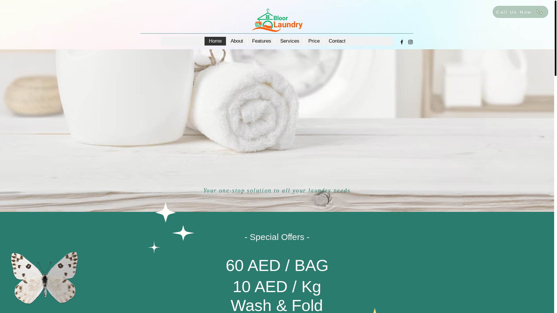 website screenshot of https://laundrybloor.com/