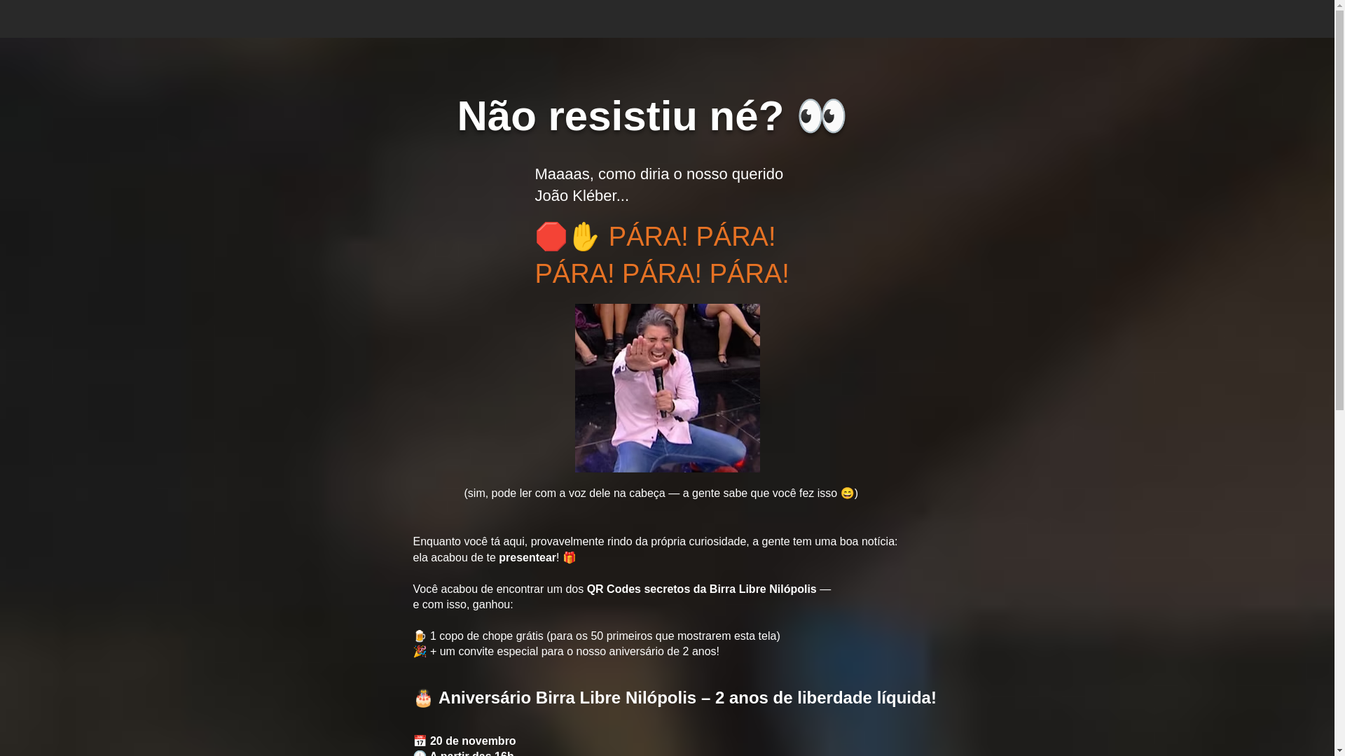 website screenshot of https://birralibrenilopolis.com/