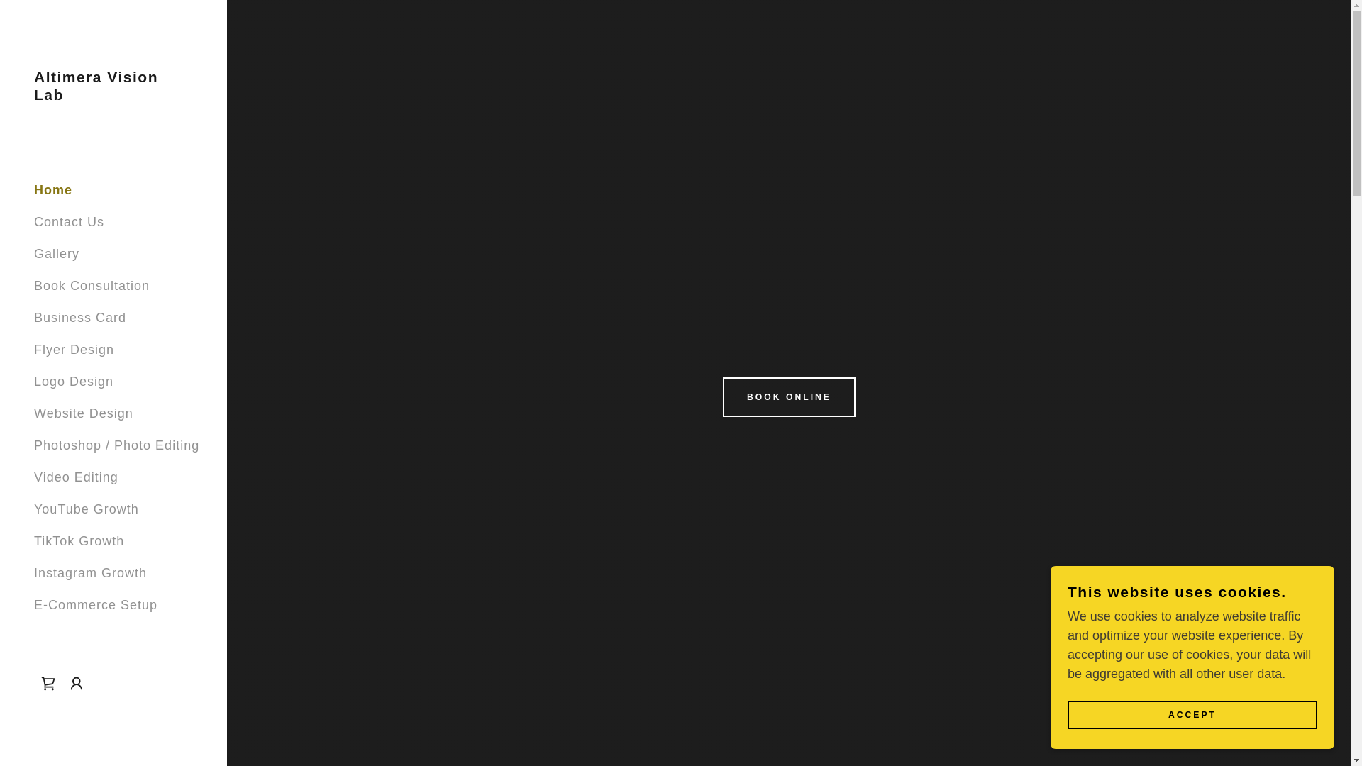 website screenshot of https://altimeravisionlab.com/