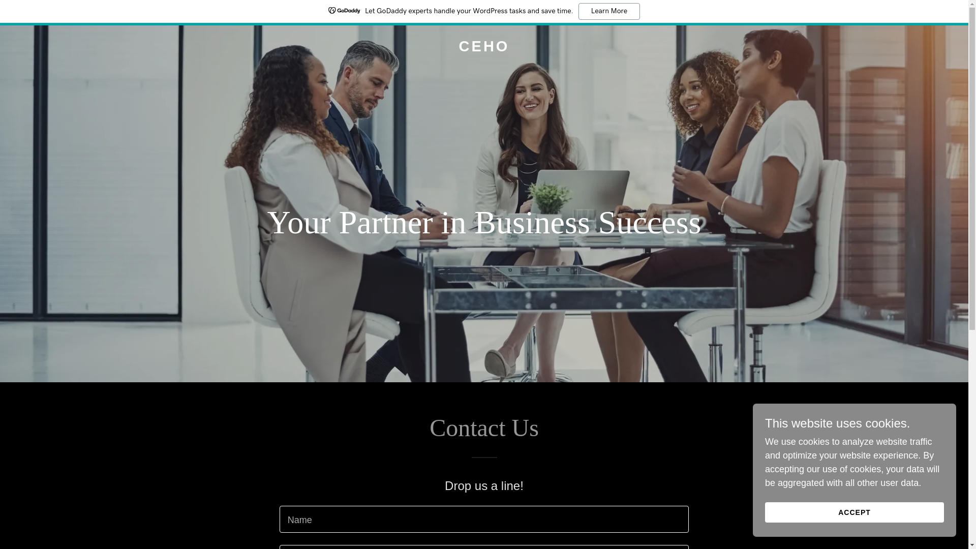 website screenshot of https://ceho.biz/