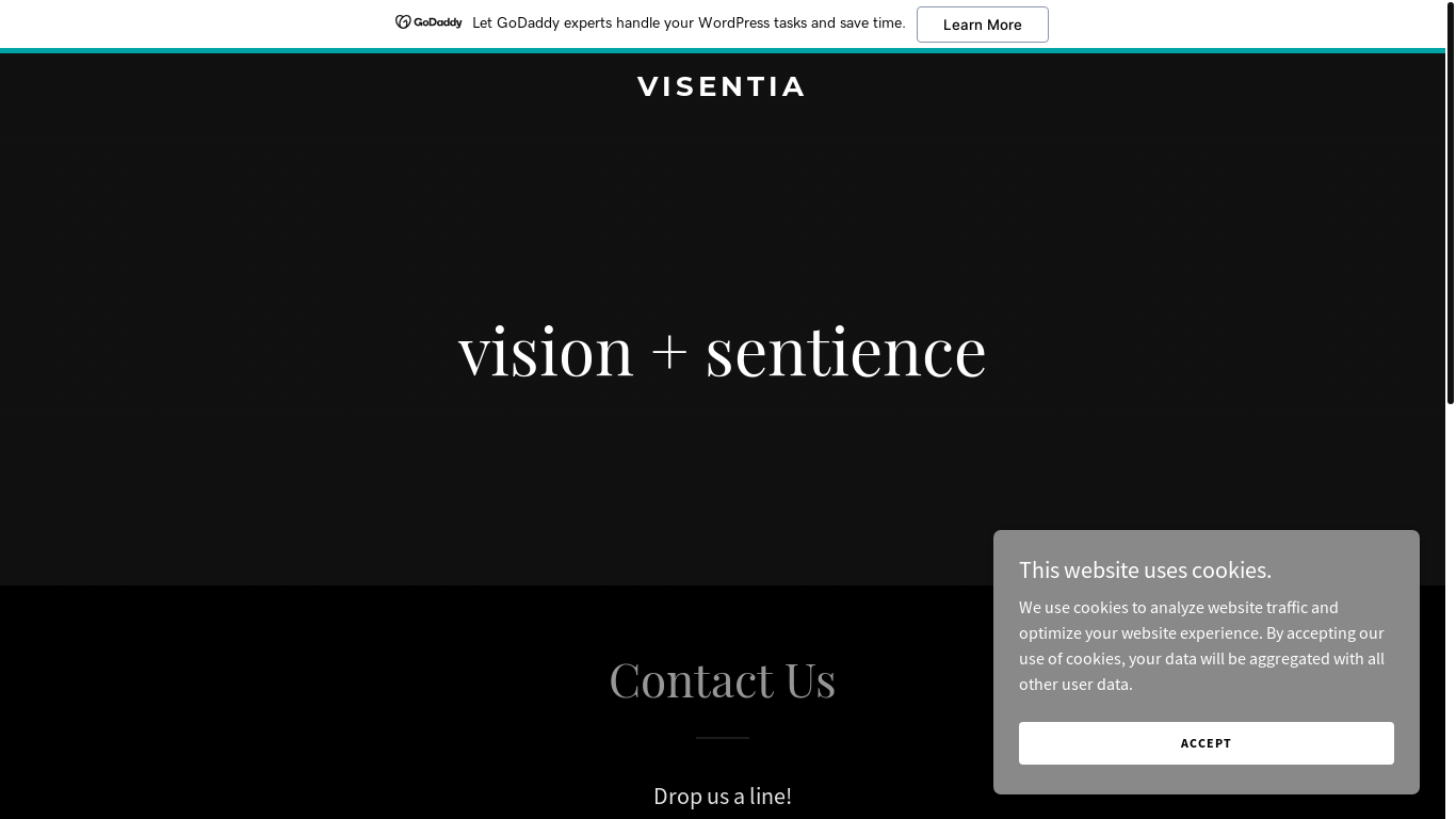 website screenshot of https://visentia.io/