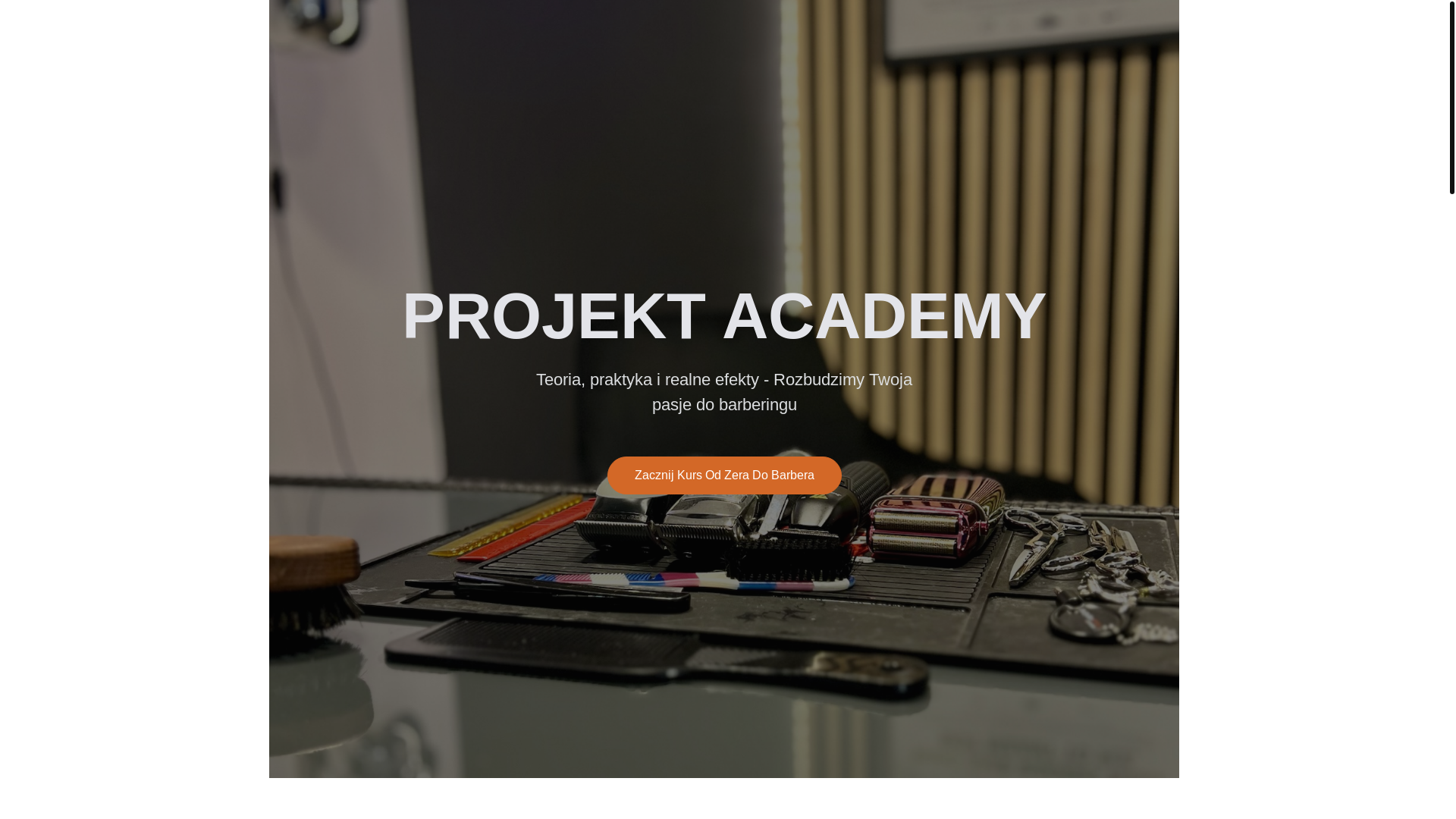 website screenshot of https://projektacademy.pl/