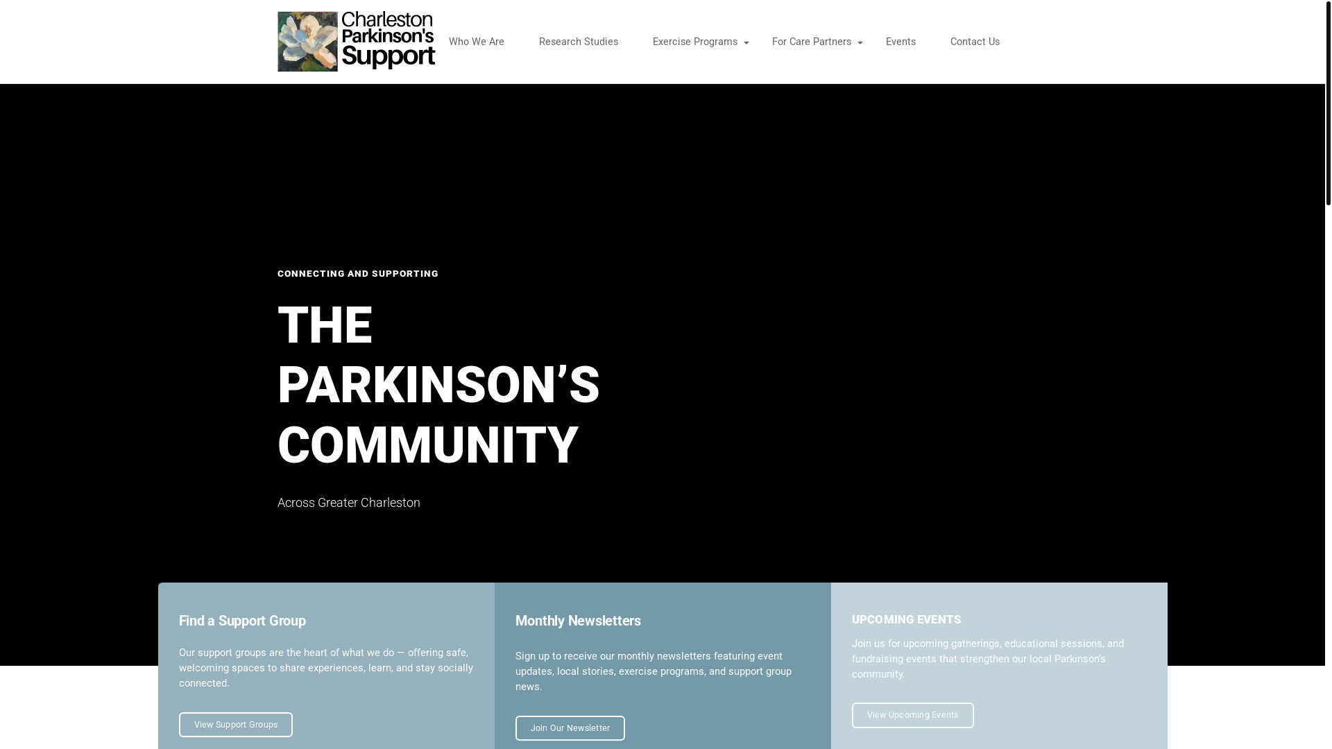 website screenshot of https://lowcountrypdsupport.org/