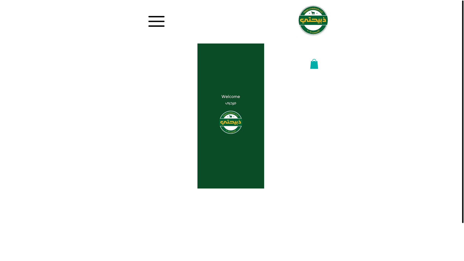 website screenshot of https://zaiabahteecom.com/
