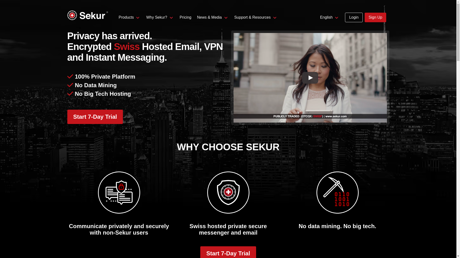 website screenshot of https://sekur-info.com/