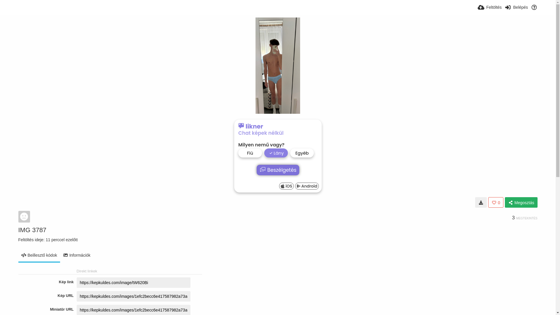 website screenshot of https://kepkuldes.com/image/tW620Bi