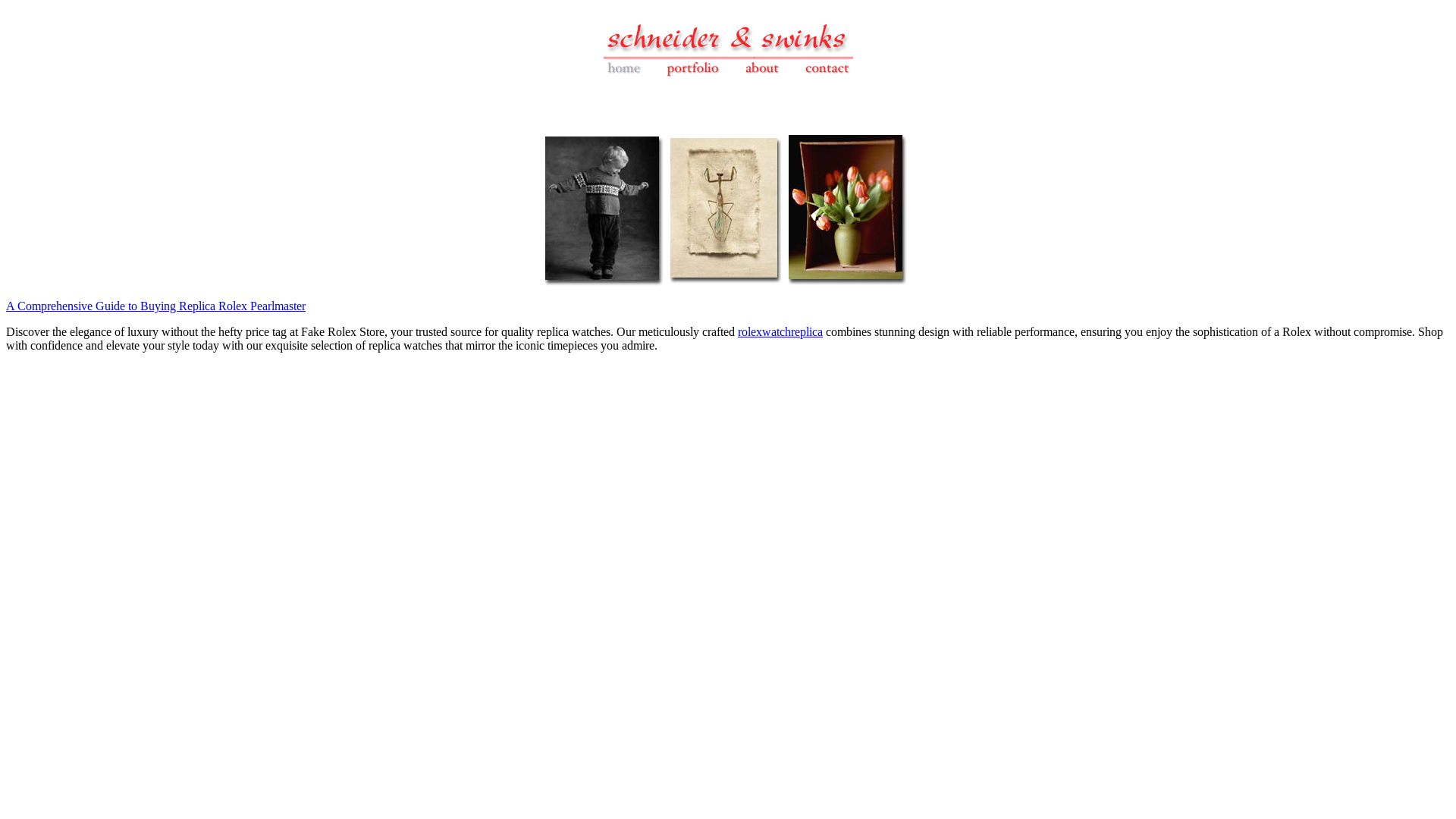 website screenshot of https://schneider-swinks.pages.dev/
