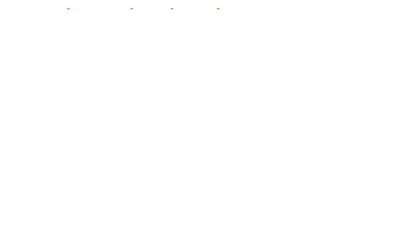 website screenshot of https://fisglobal.com