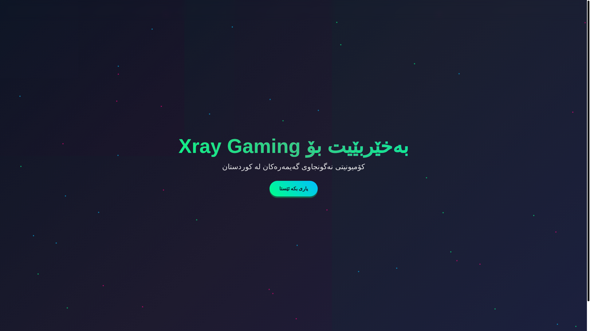 website screenshot of https://xraygamingerbil.com/