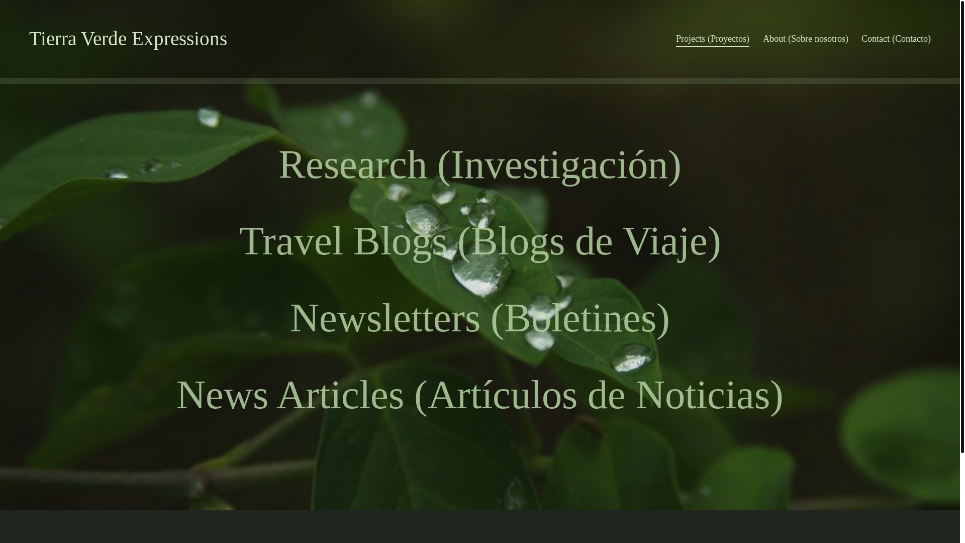 website screenshot of https://tierraverdeexpressions.com/