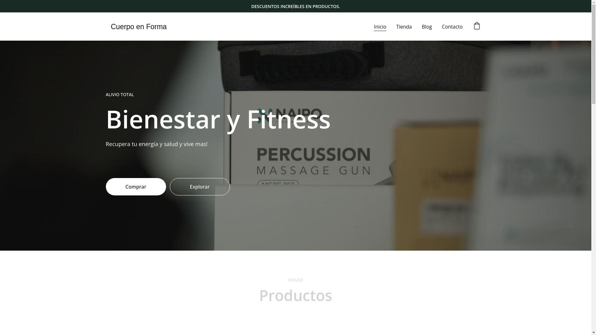 website screenshot of https://fitnessyrecuperacion.com/