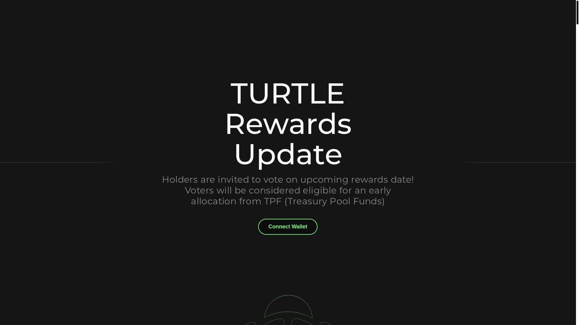 website screenshot of https://vote-turtle.xyz/