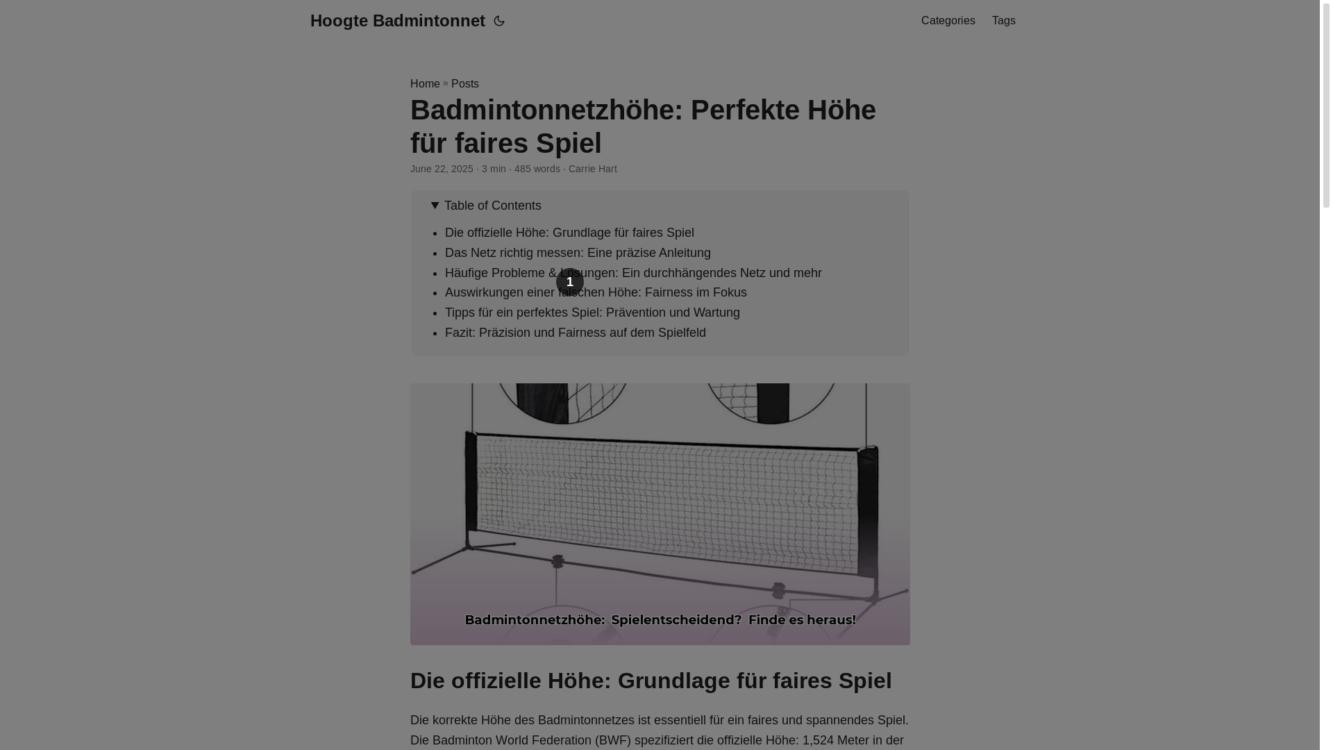 website screenshot of https://hoogte-badmintonnet.pages.dev/