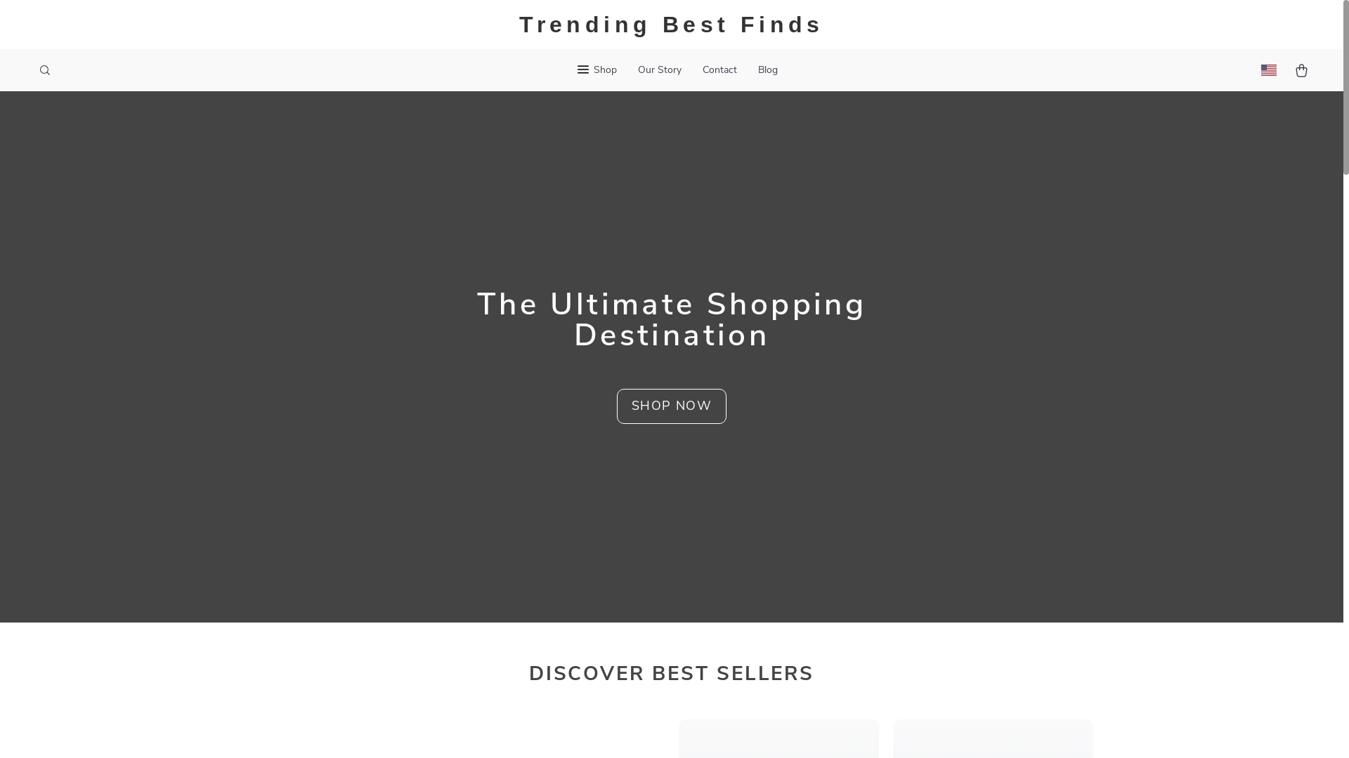 website screenshot of https://ambasadora.com/