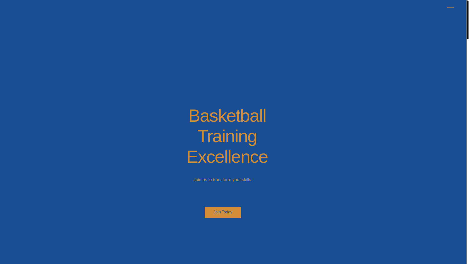 website screenshot of https://queenselitehoops.com/
