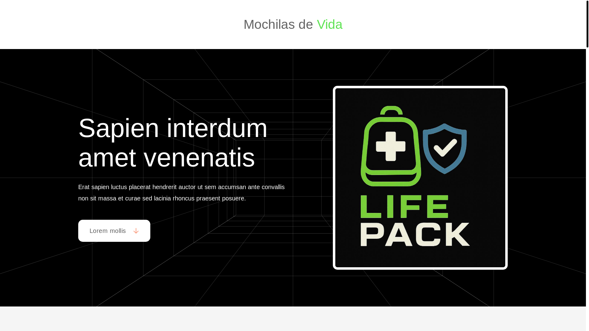 website screenshot of https://mochilasdevida.com.mx/
