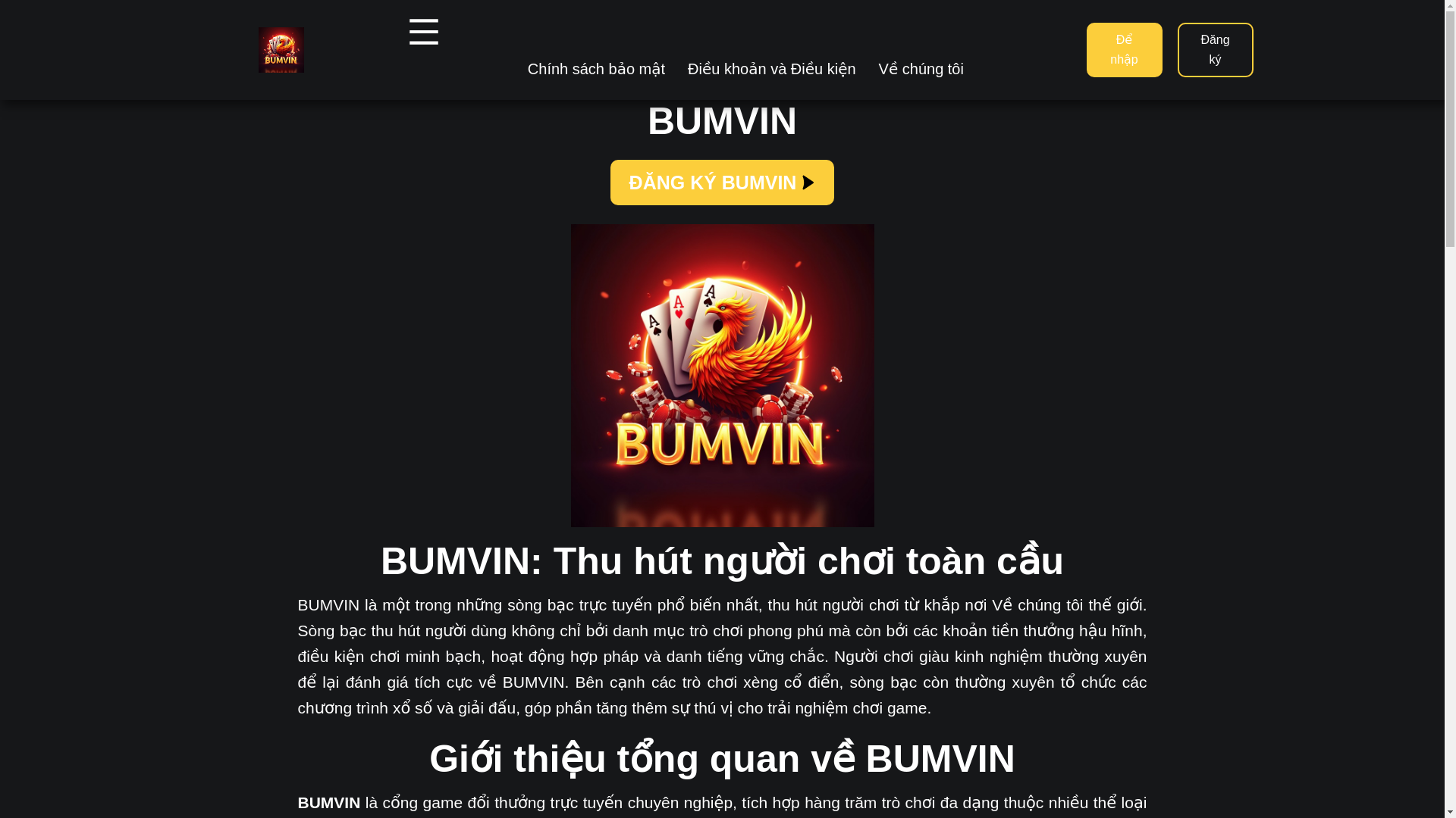 website screenshot of https://bumvin.cc/