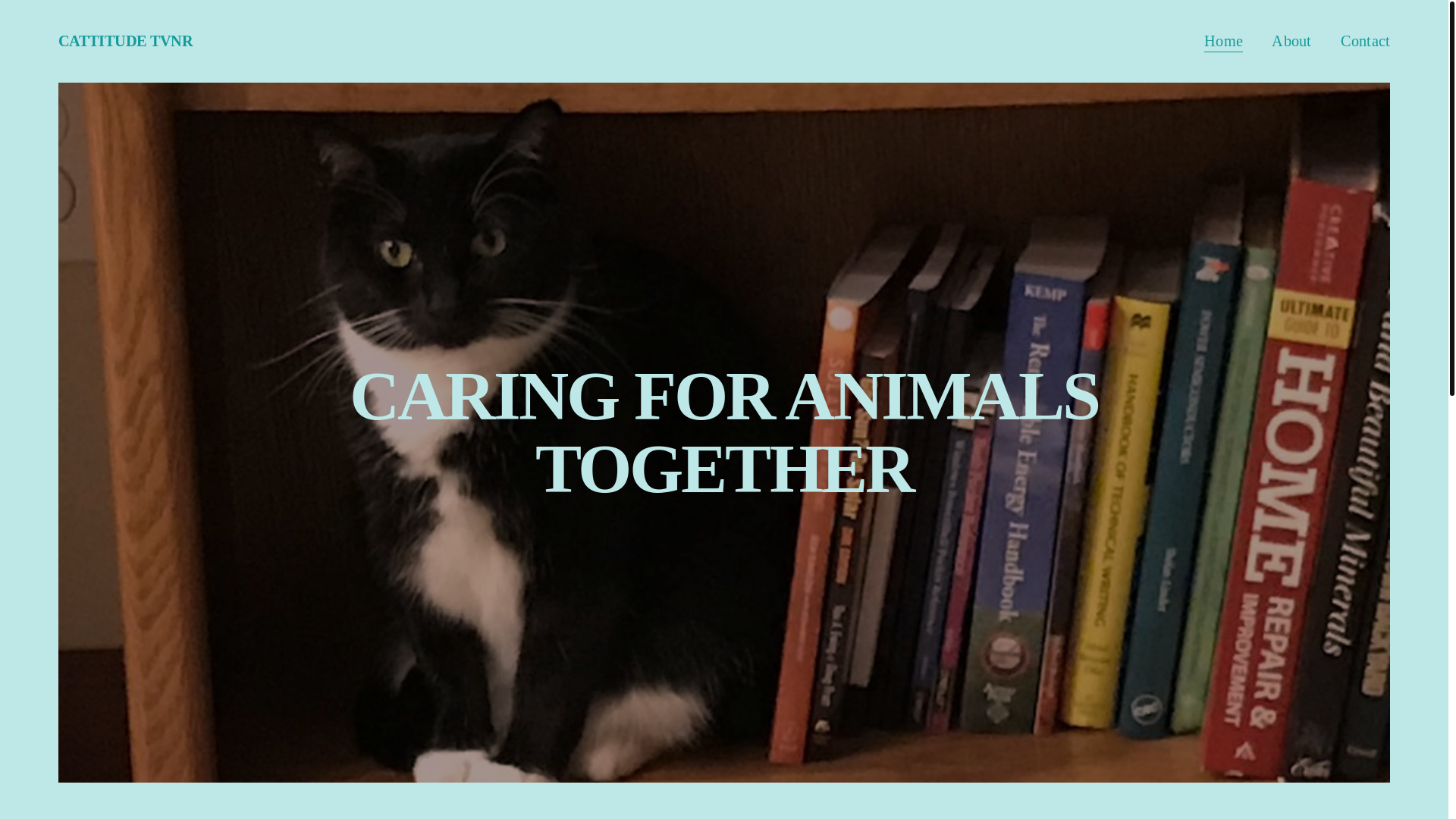 website screenshot of https://cattitudetvnr.org/